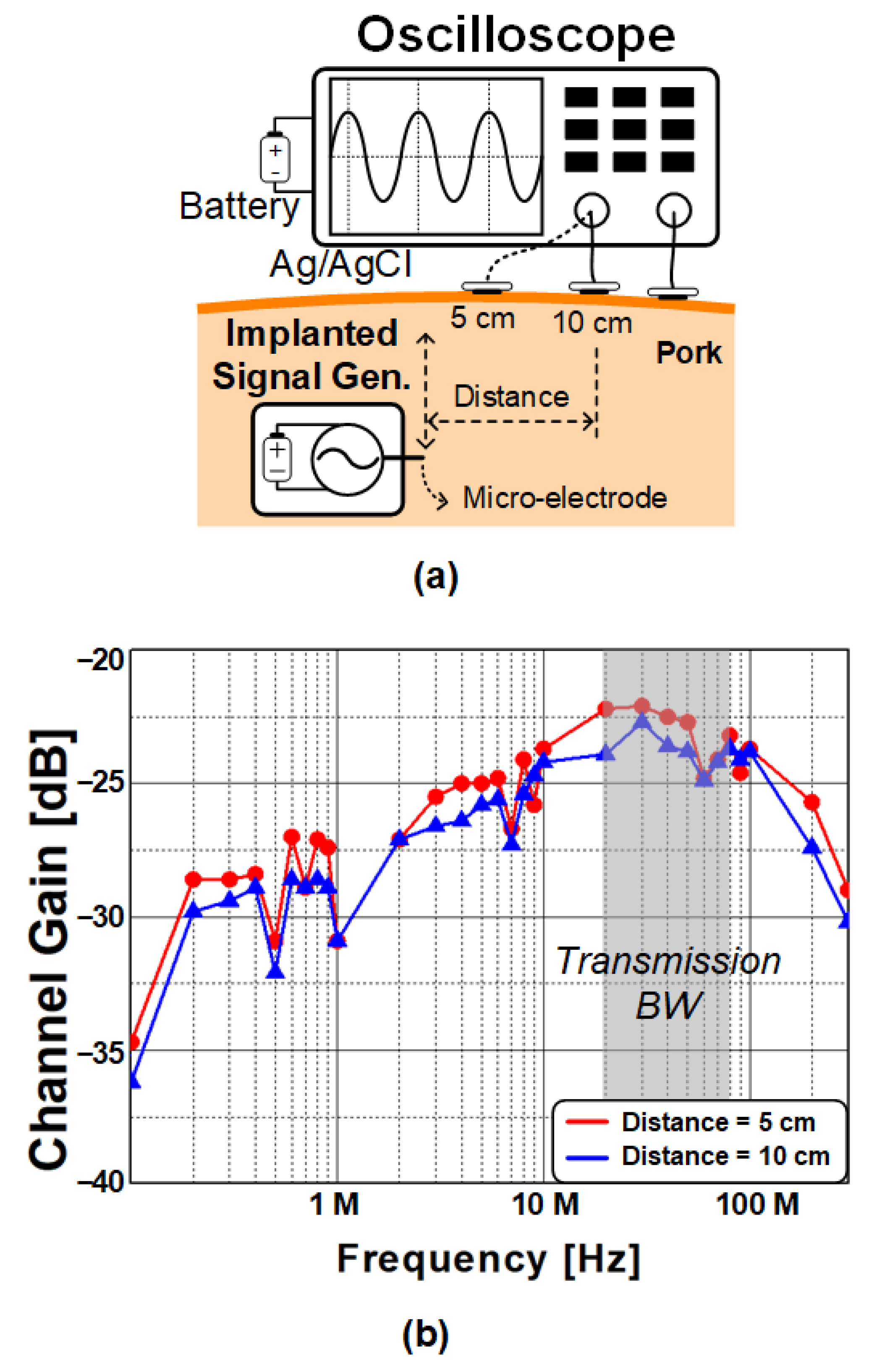 Electronics 12 02181 g002