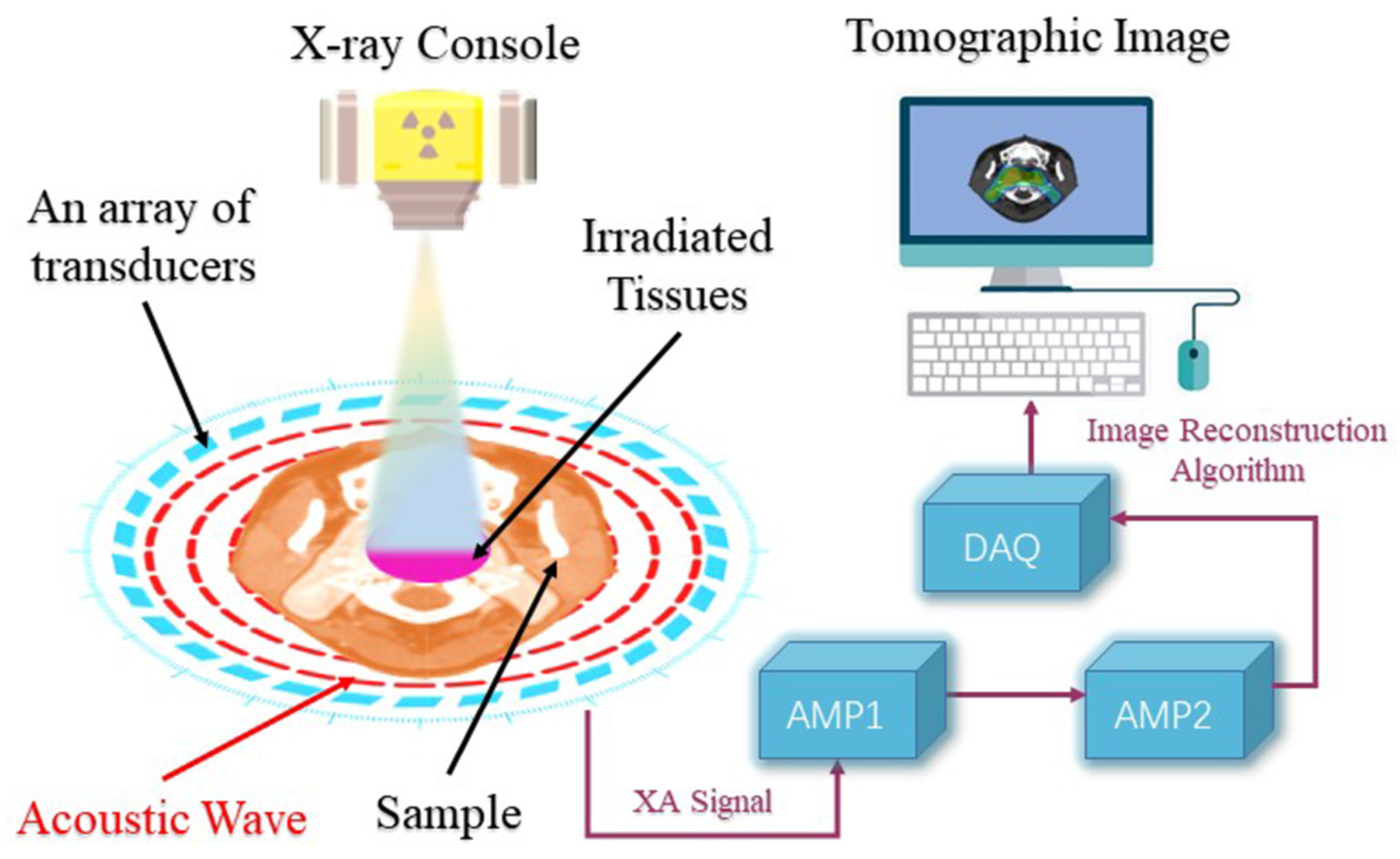 Electronics 12 02241 g001