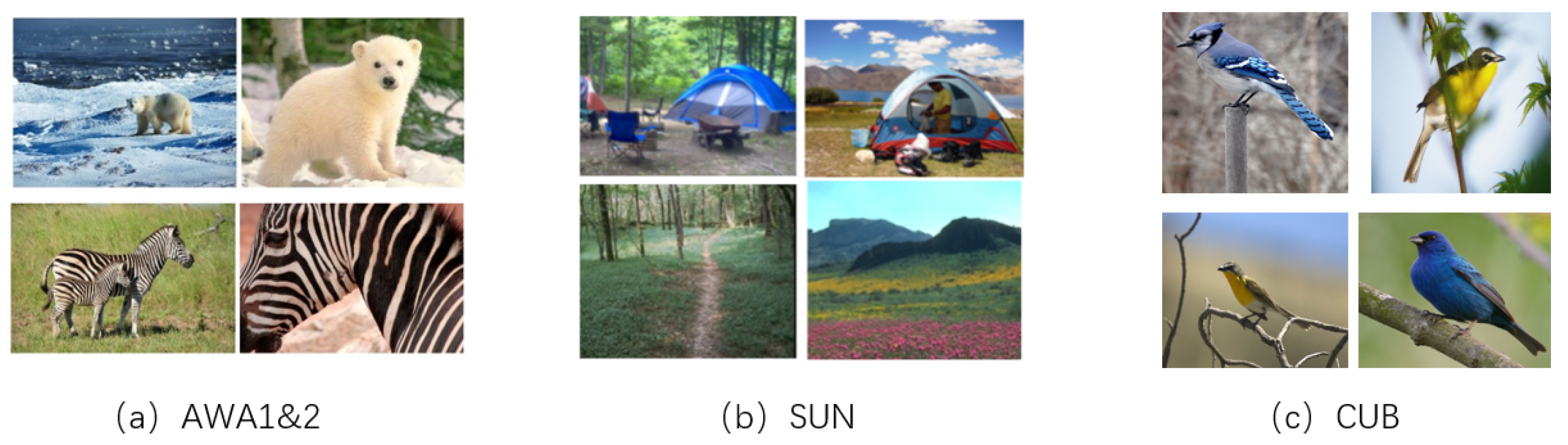 Electronics 12 02308 g004 Electronics 12 02308 g004