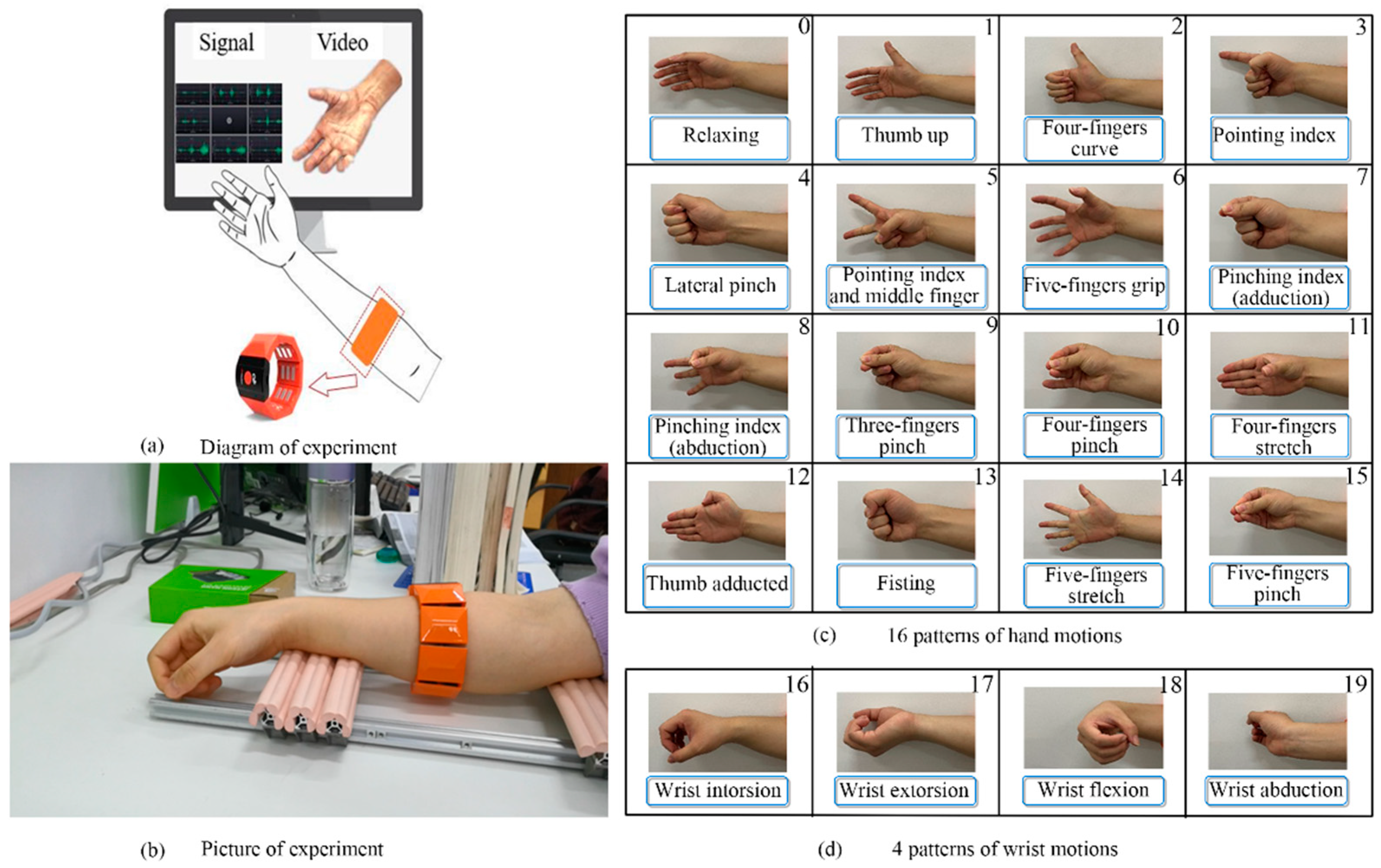 Electronics 12 02444 g001