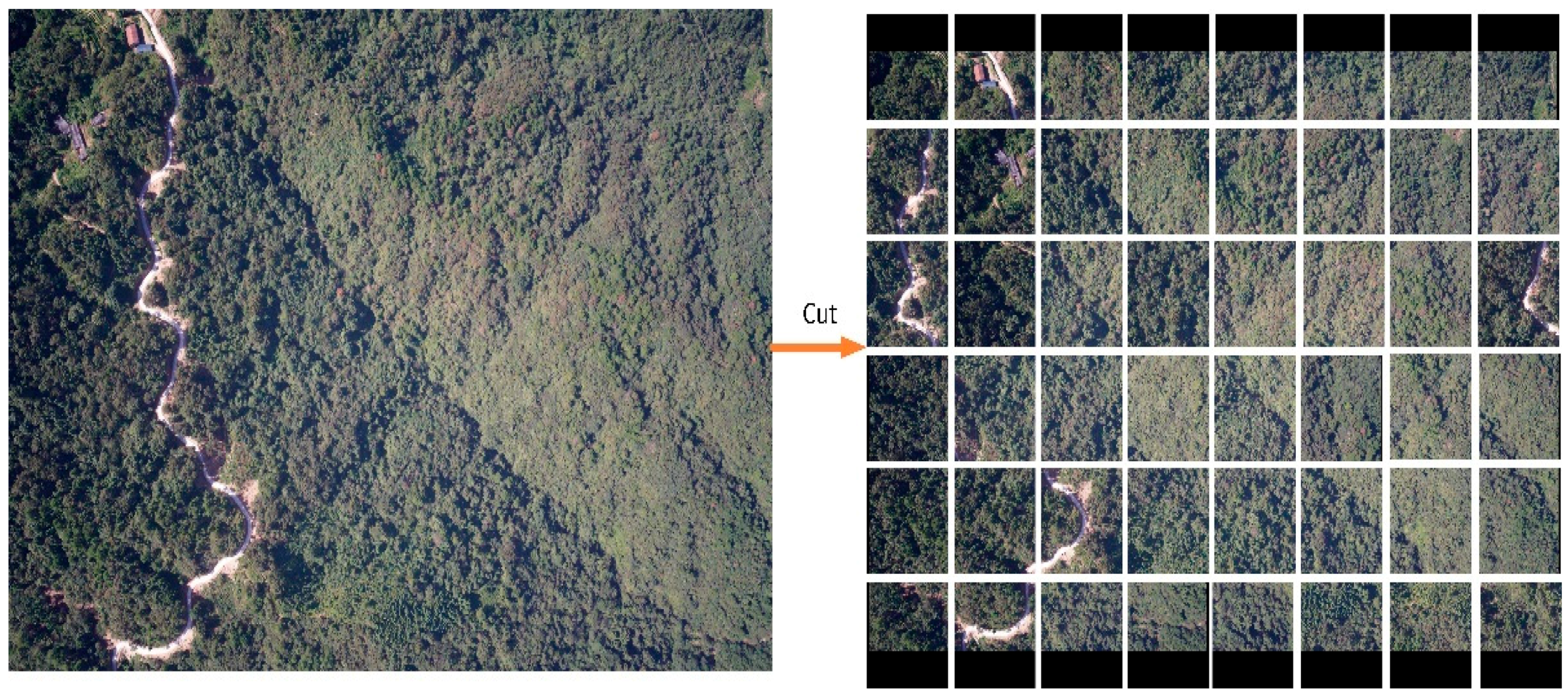 Electronics 12 02463 g003