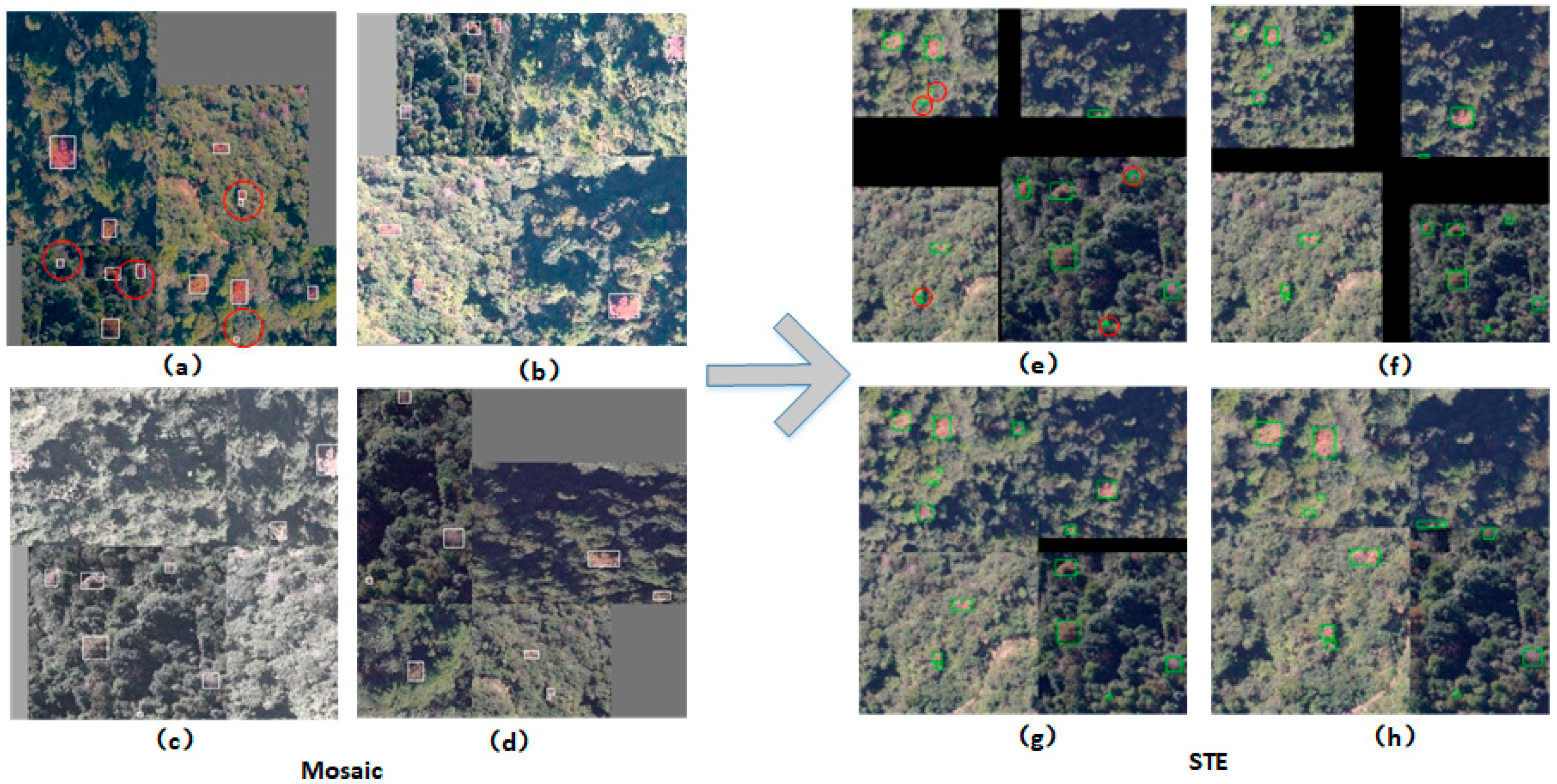 Electronics 12 02463 g010