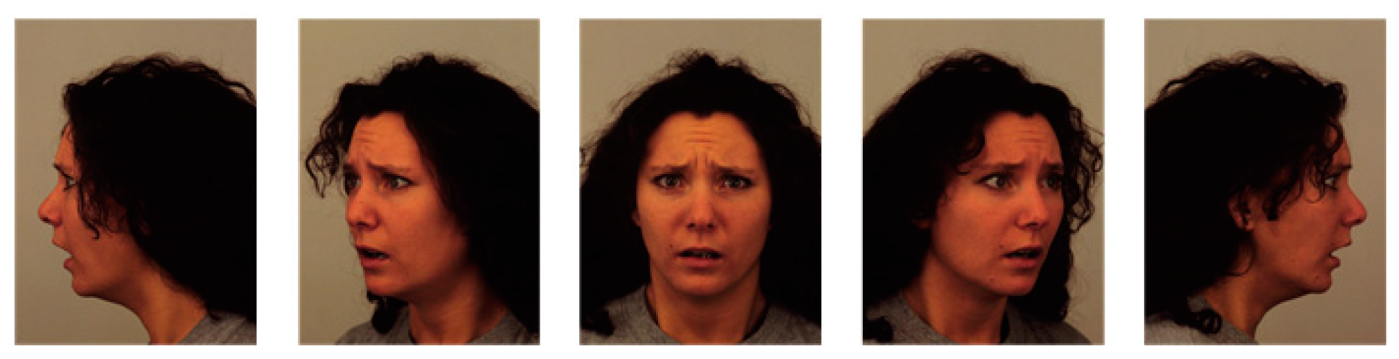 Electronics 12 02527 g010