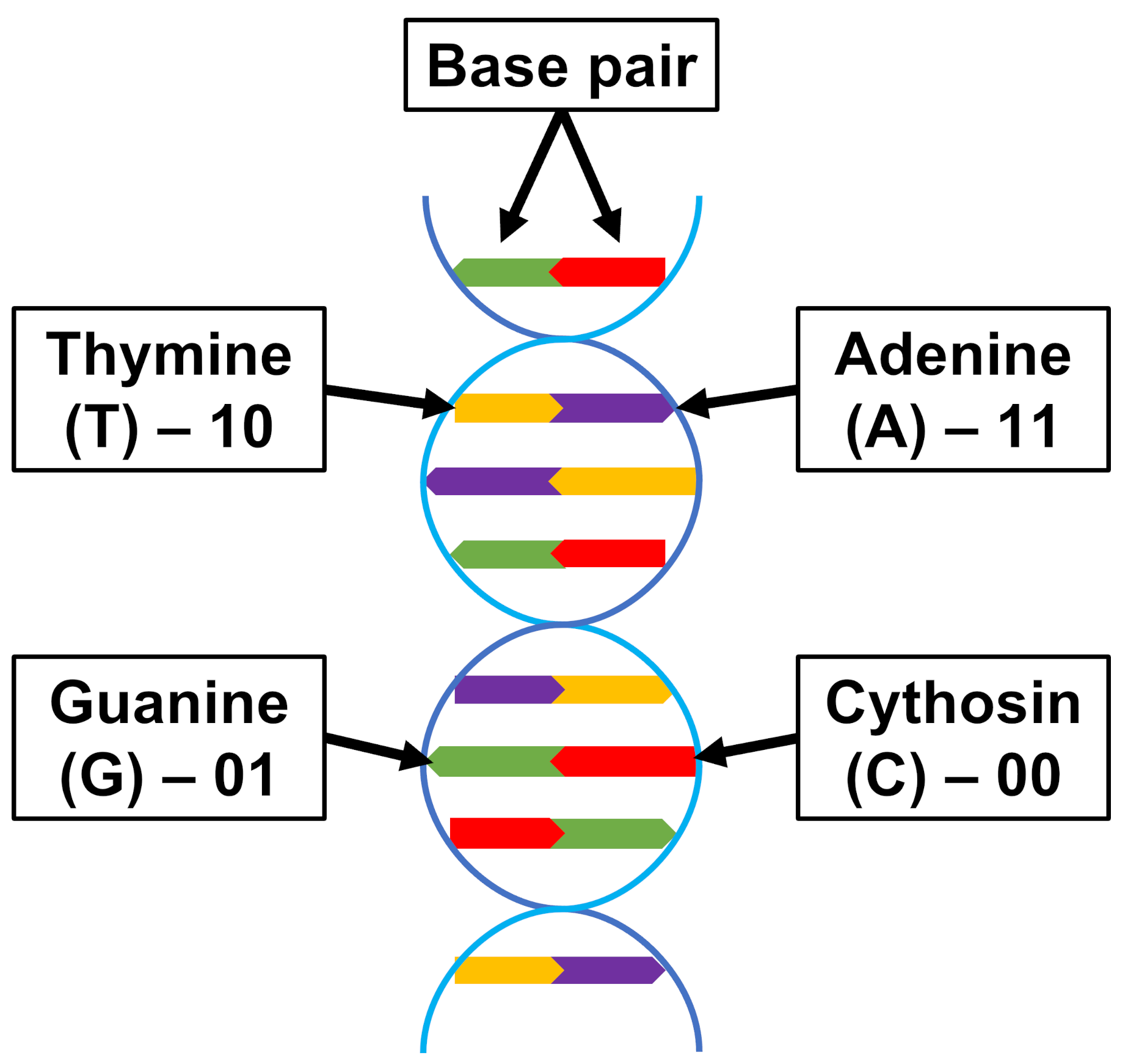 Integrating FPGA Acceleration in the DNAssim Framework for Faster DNA ...
