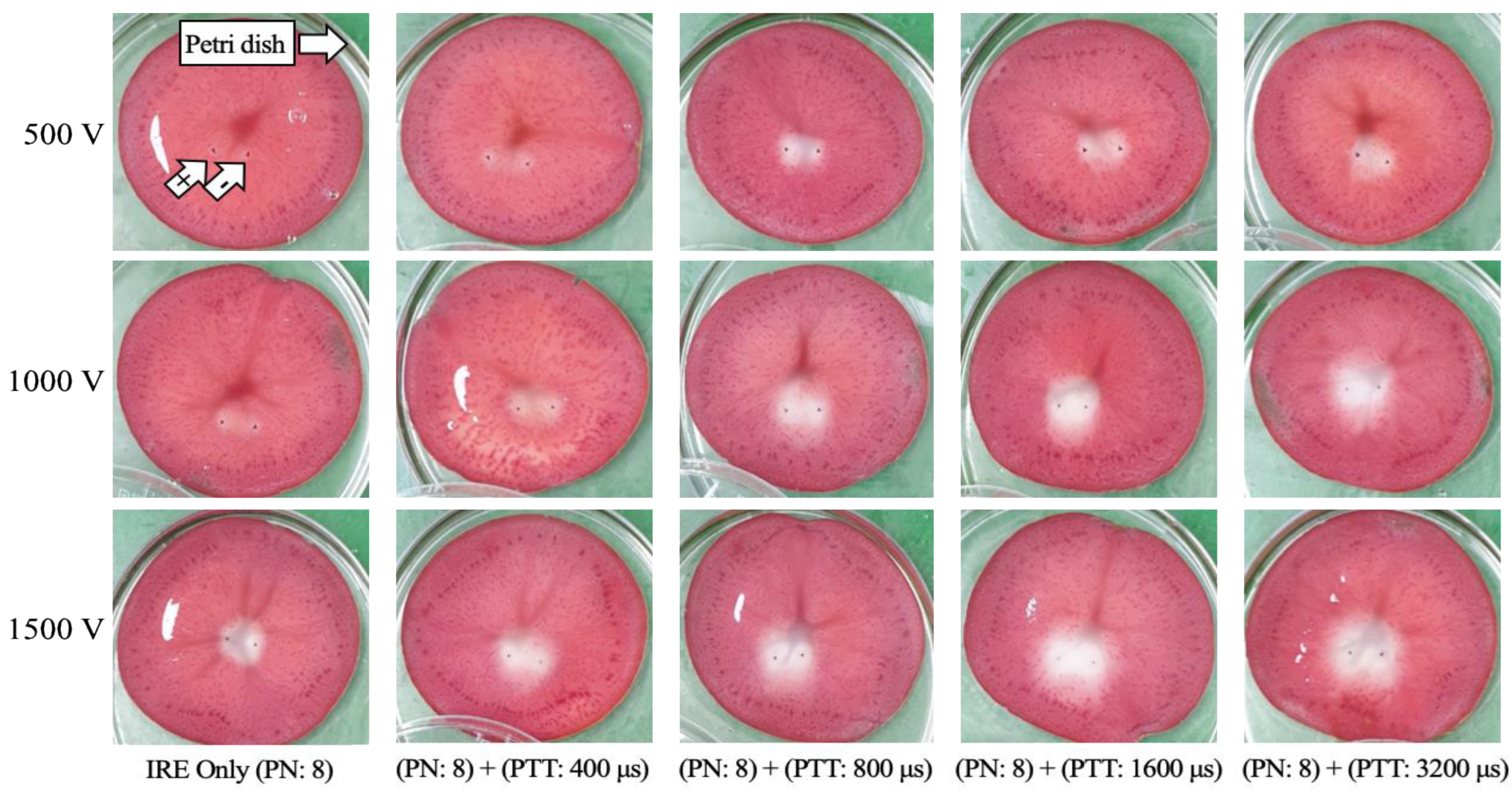 Electronics 12 02916 g005