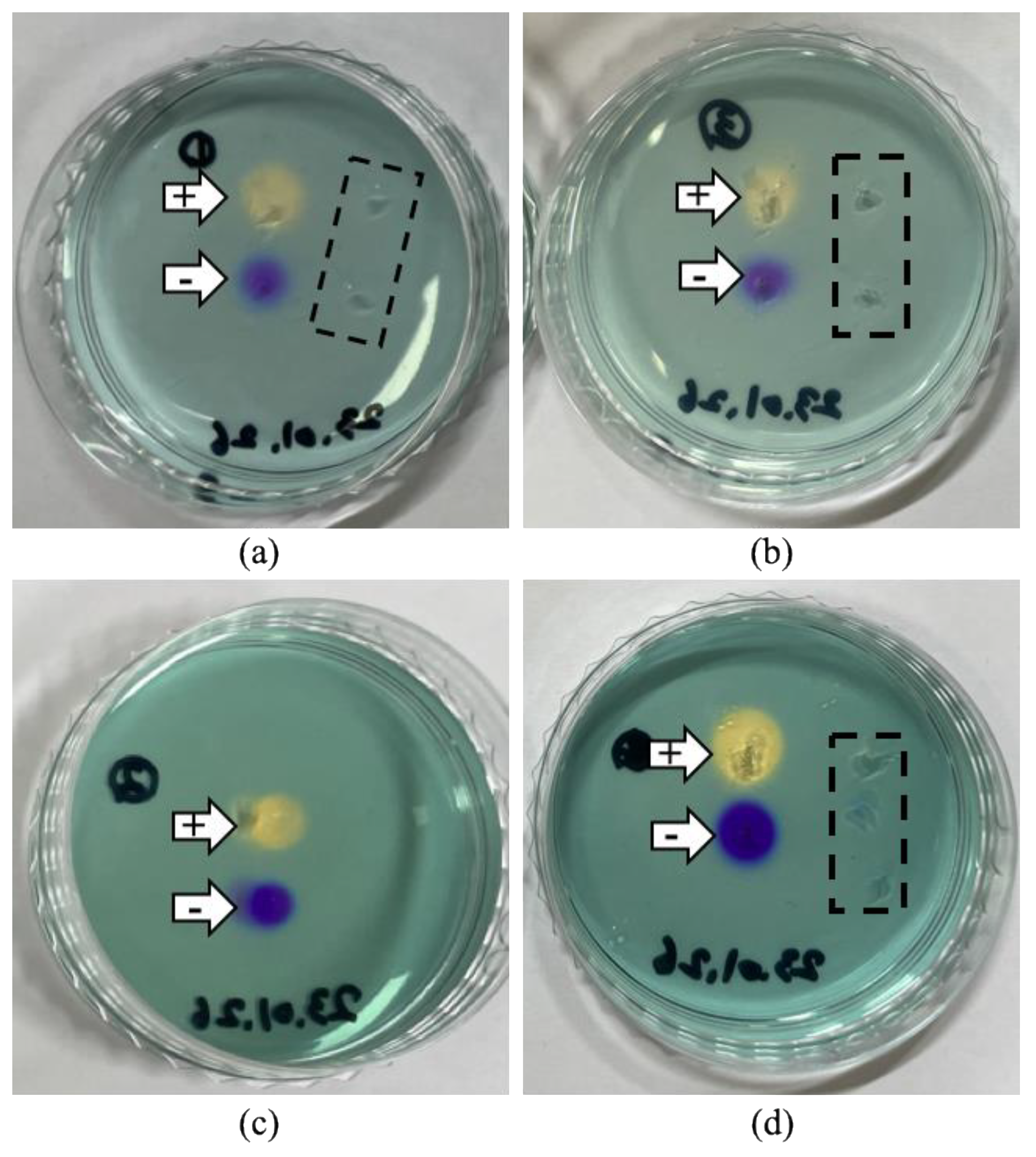 Electronics 12 02916 g007