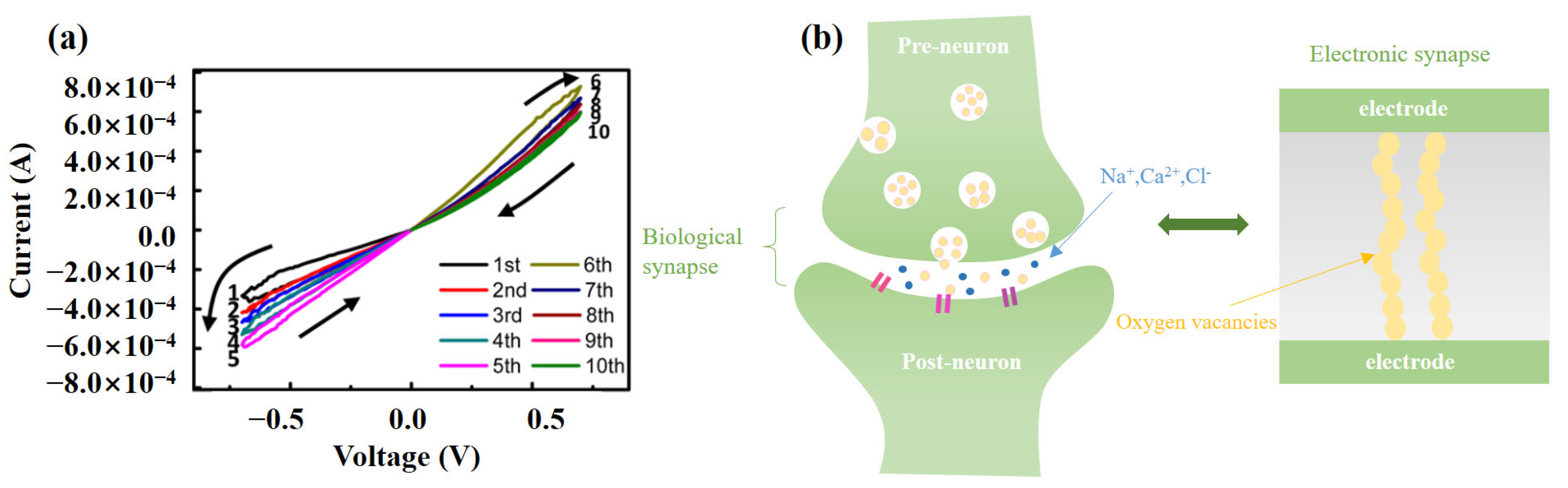 Electronics 12 03298 g005