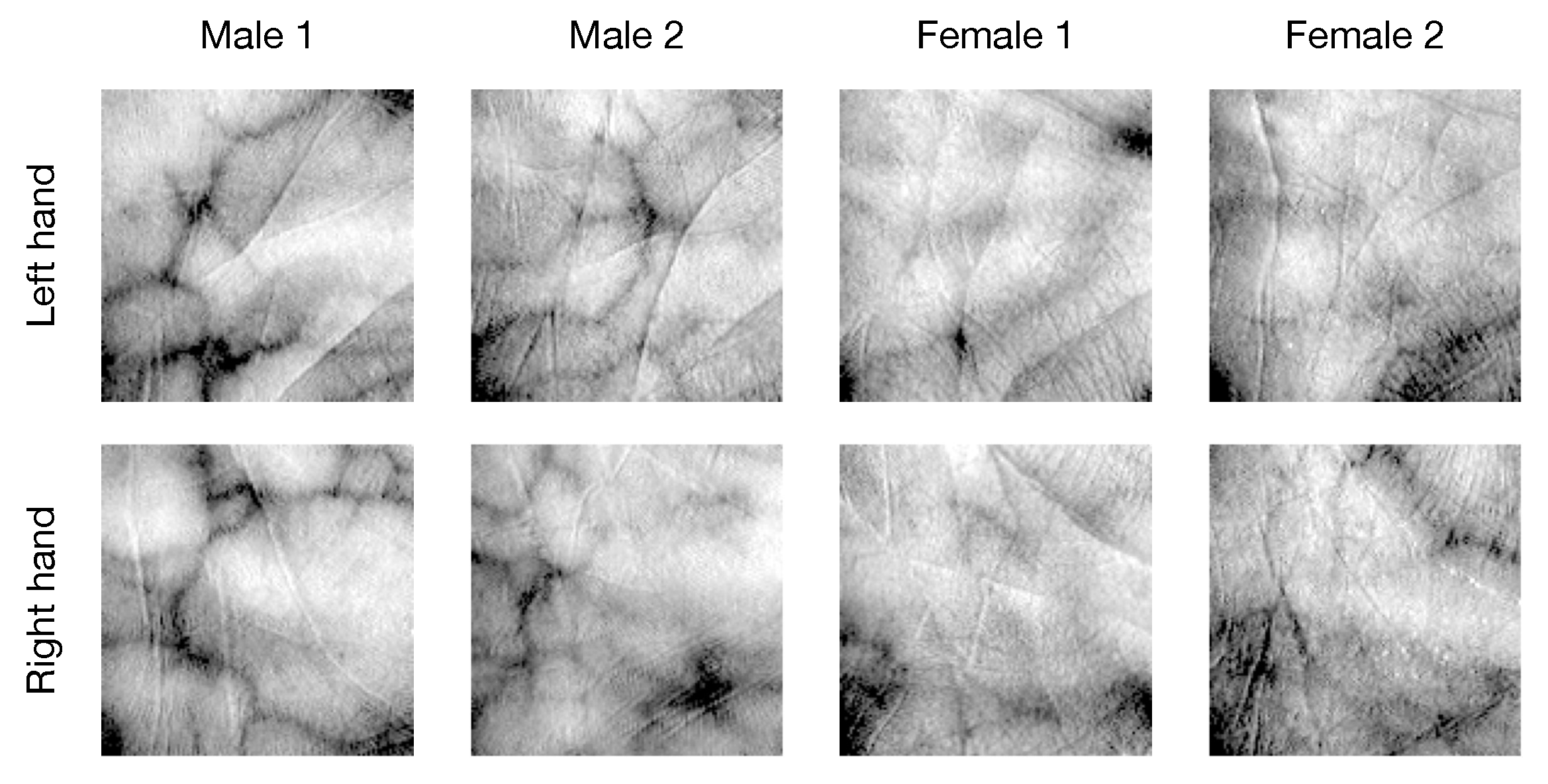 Electronics 12 03608 g003