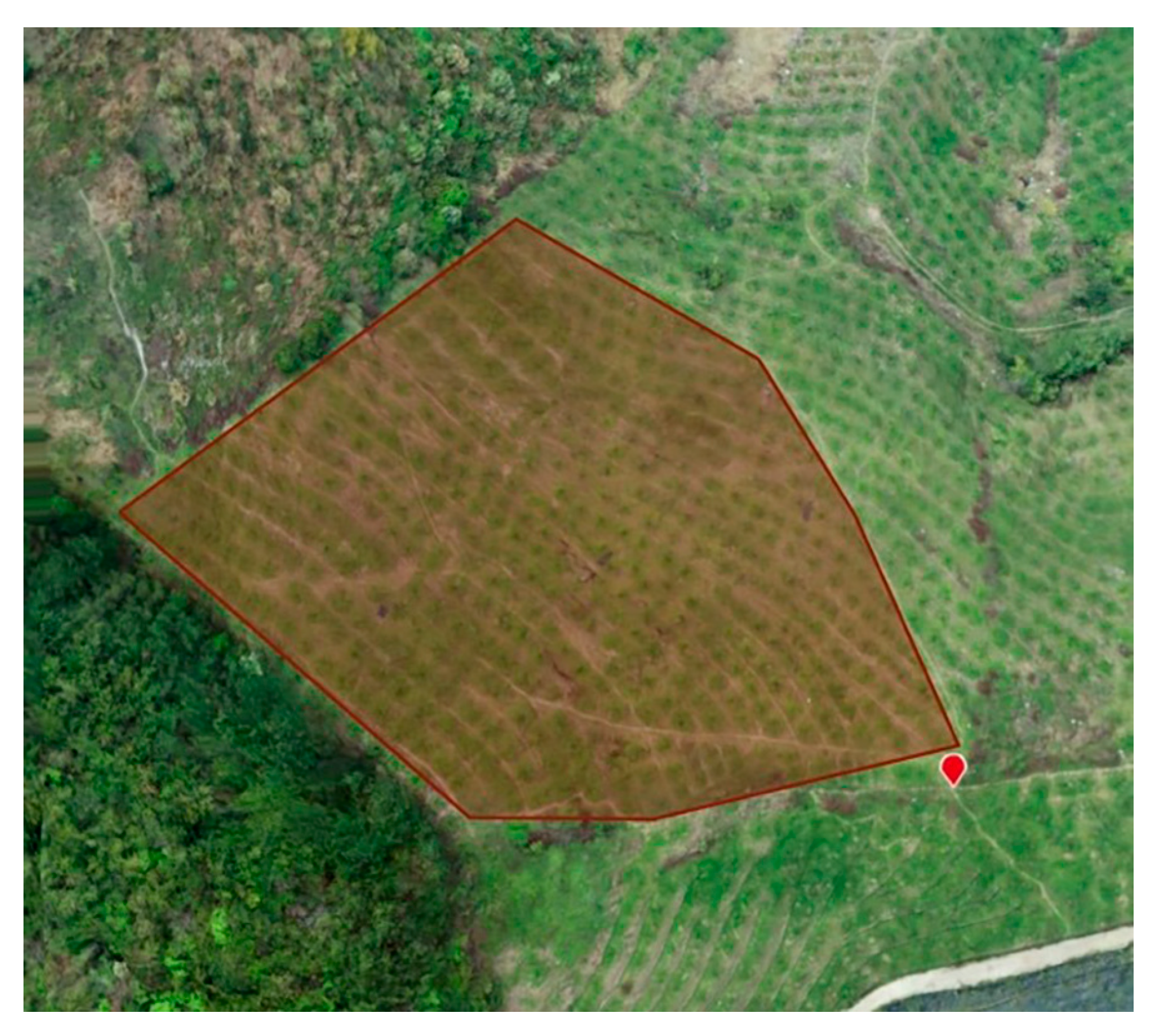 Electronics 12 04051 g010