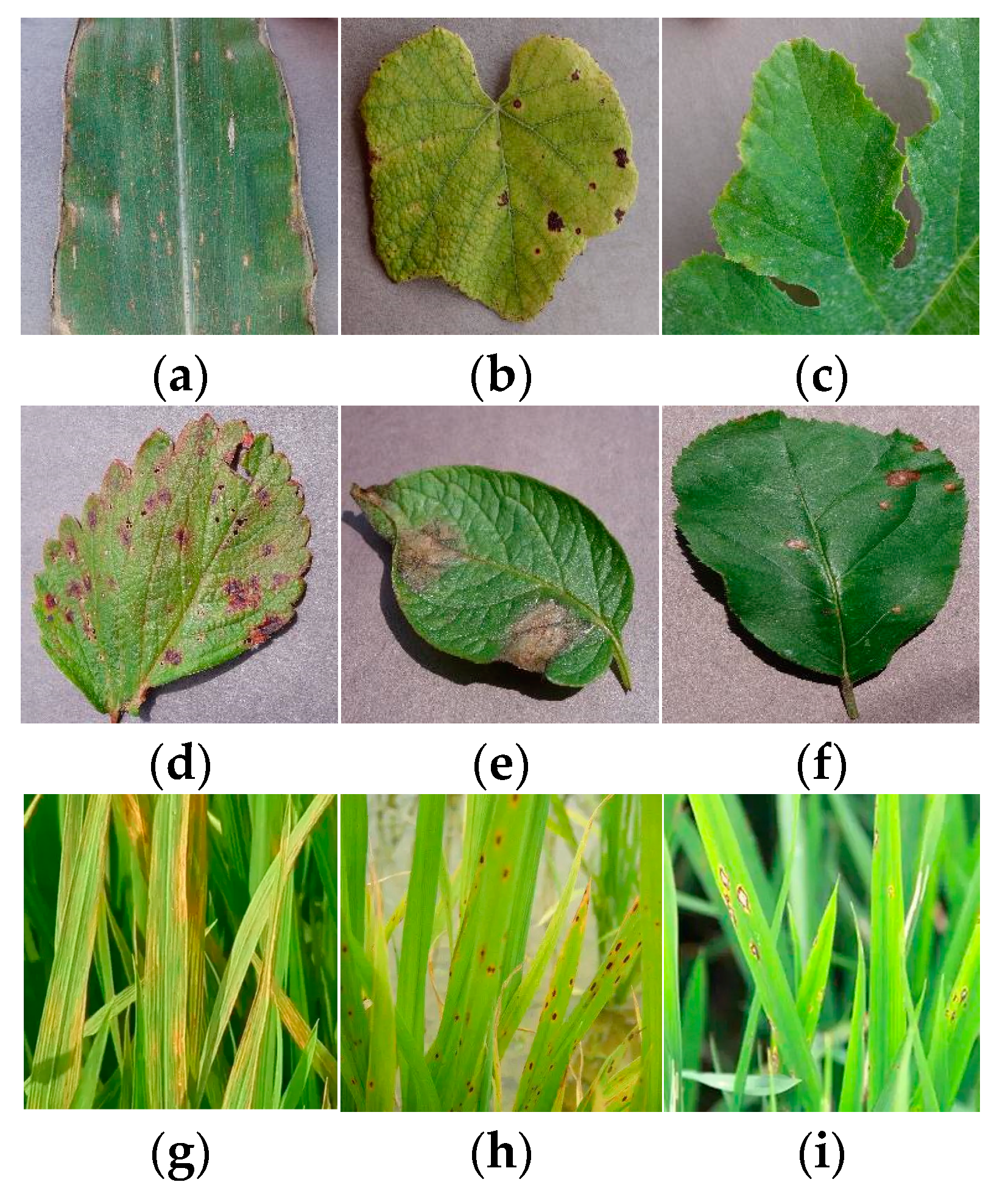 Electronics 12 04365 g007