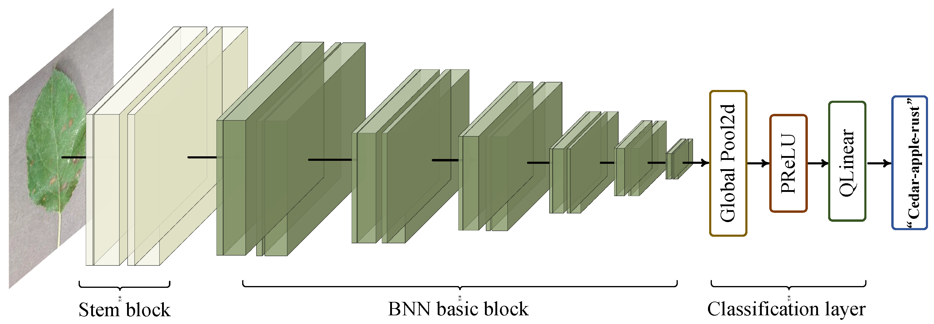 Electronics 12 04431 g002