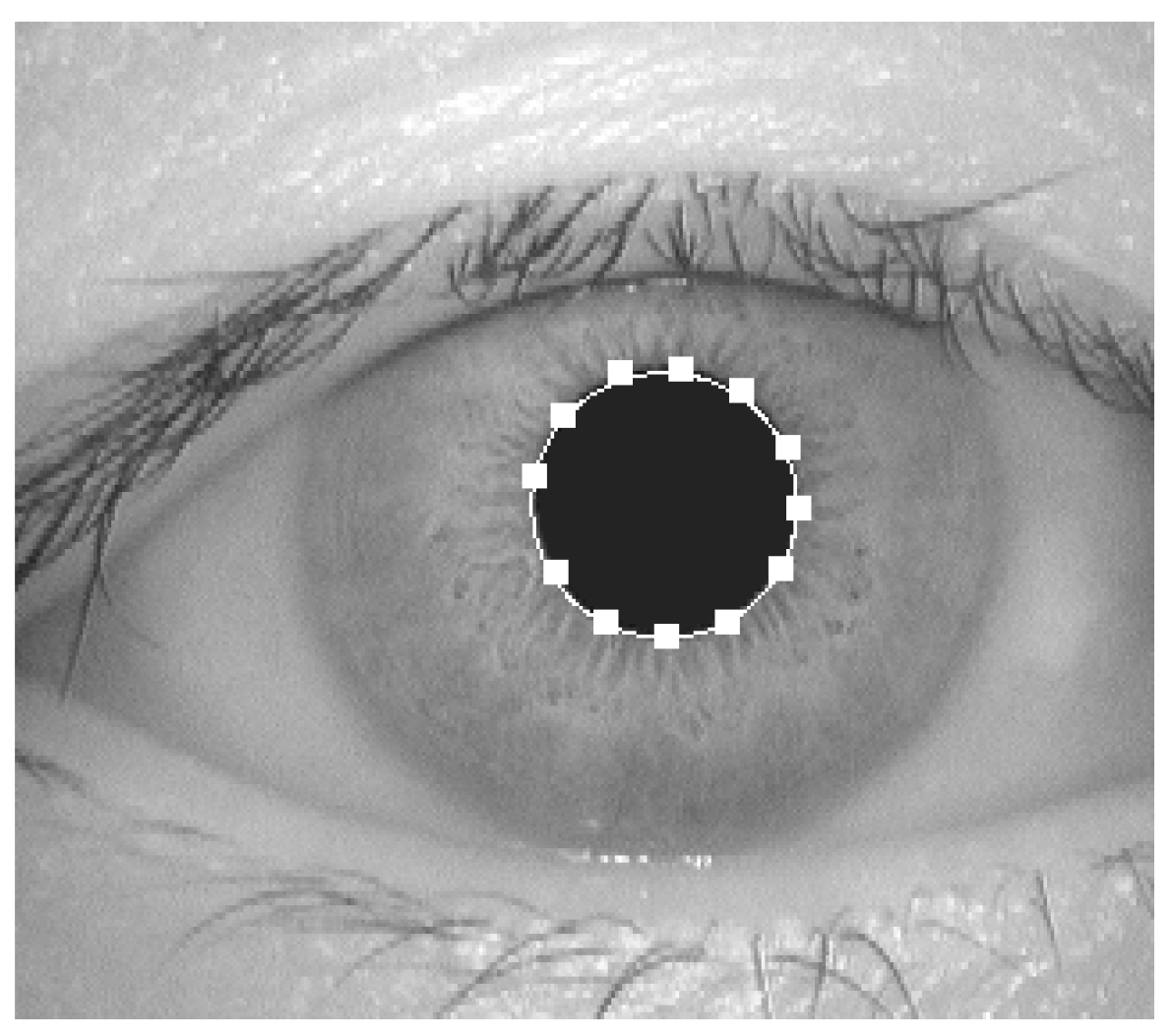 Electronics 12 04454 g004