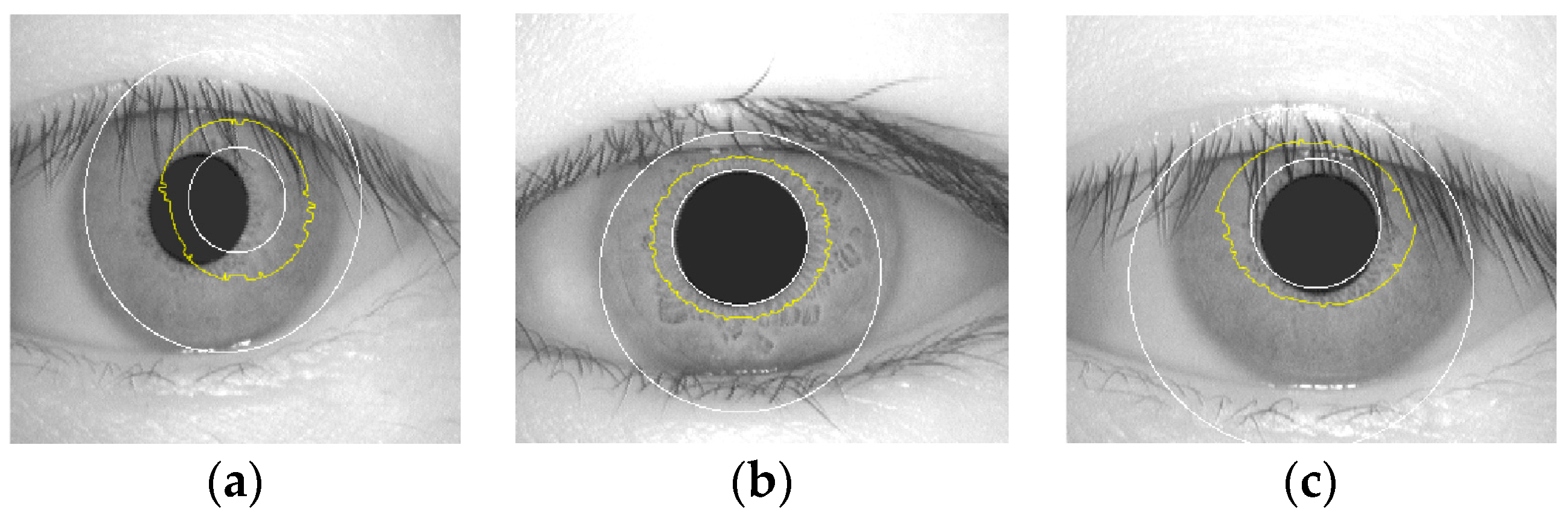 Electronics 12 04454 g005