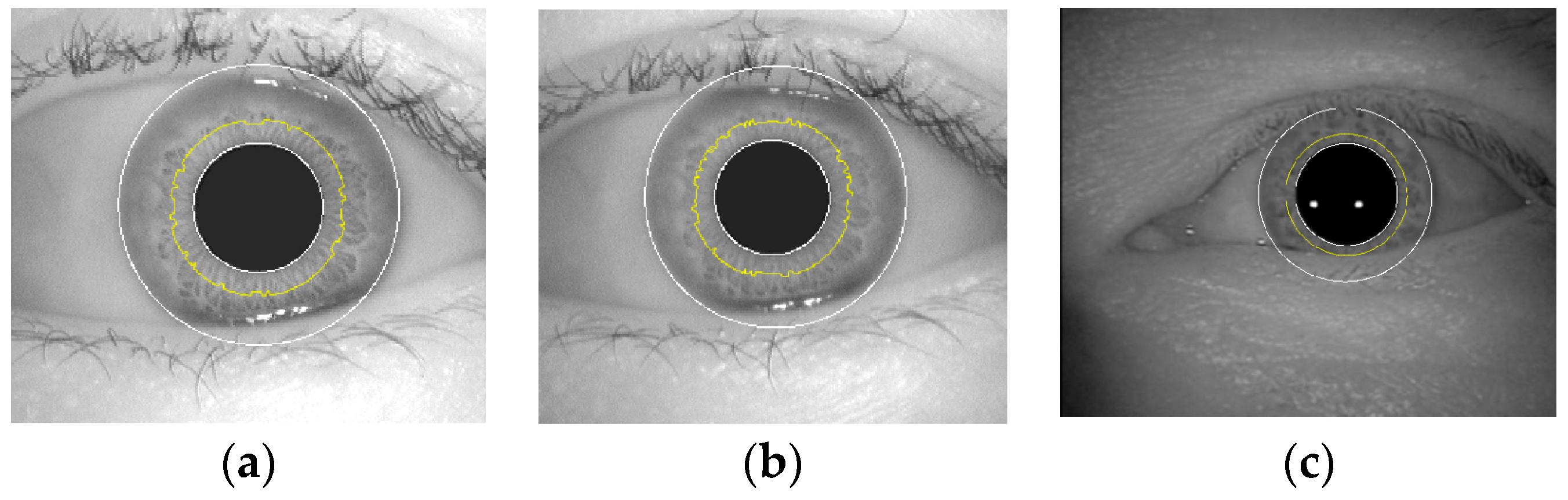 Electronics 12 04454 g007