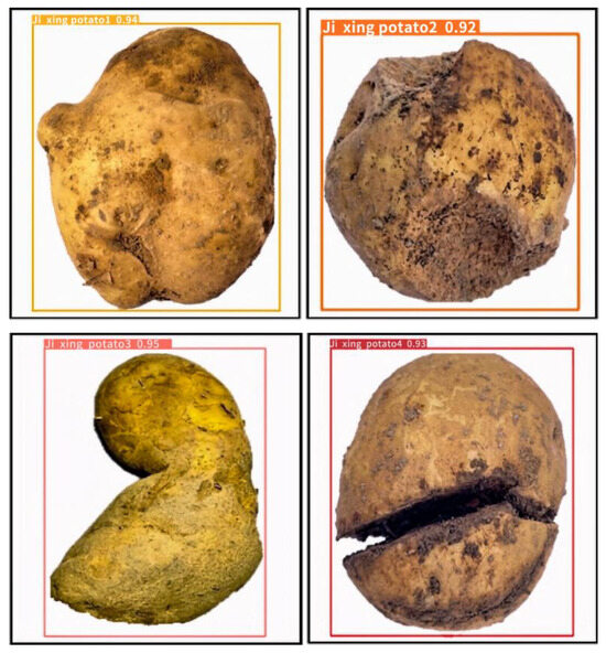 Electronics 12 04461 g007