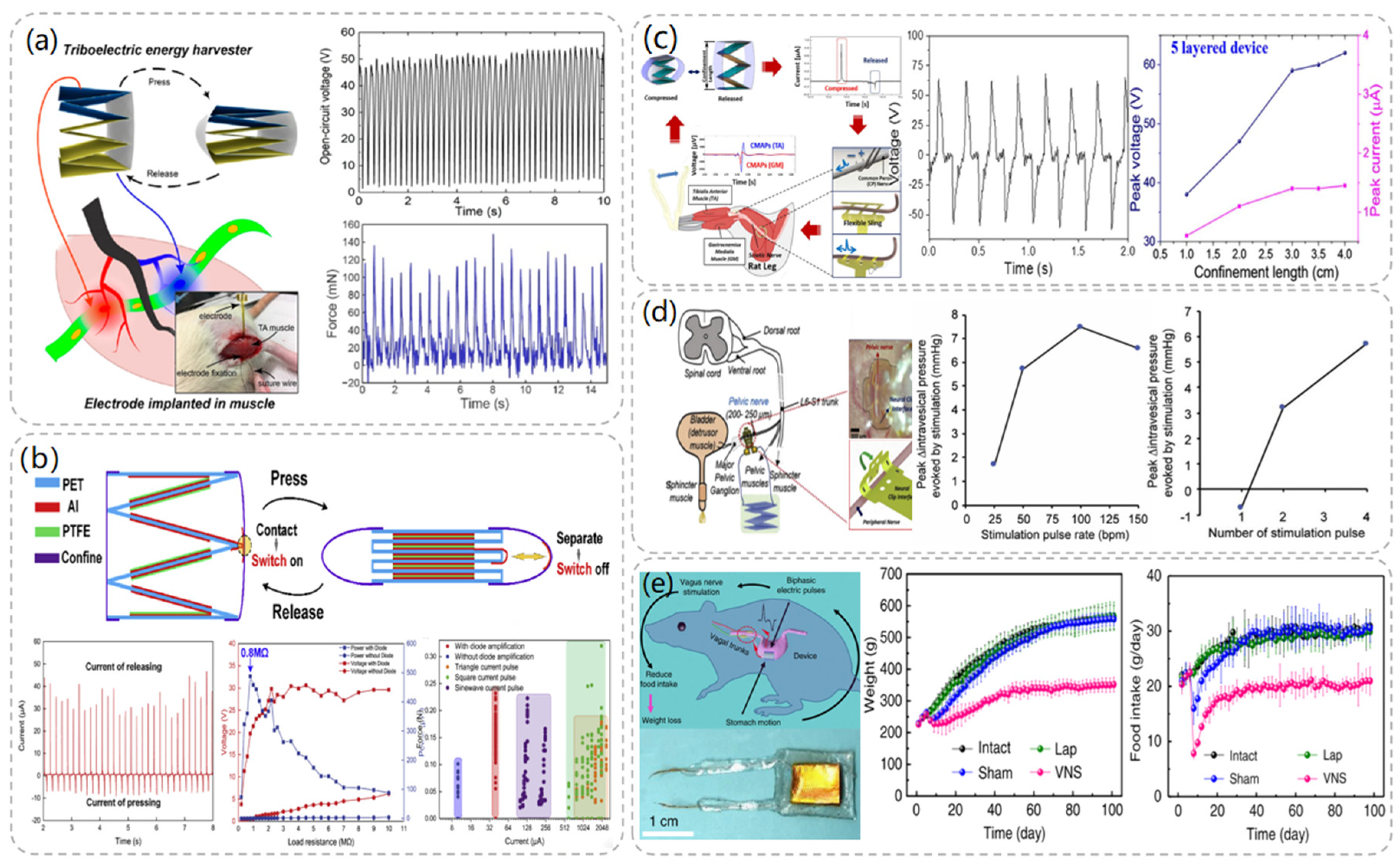 Electronics 12 04477 g004