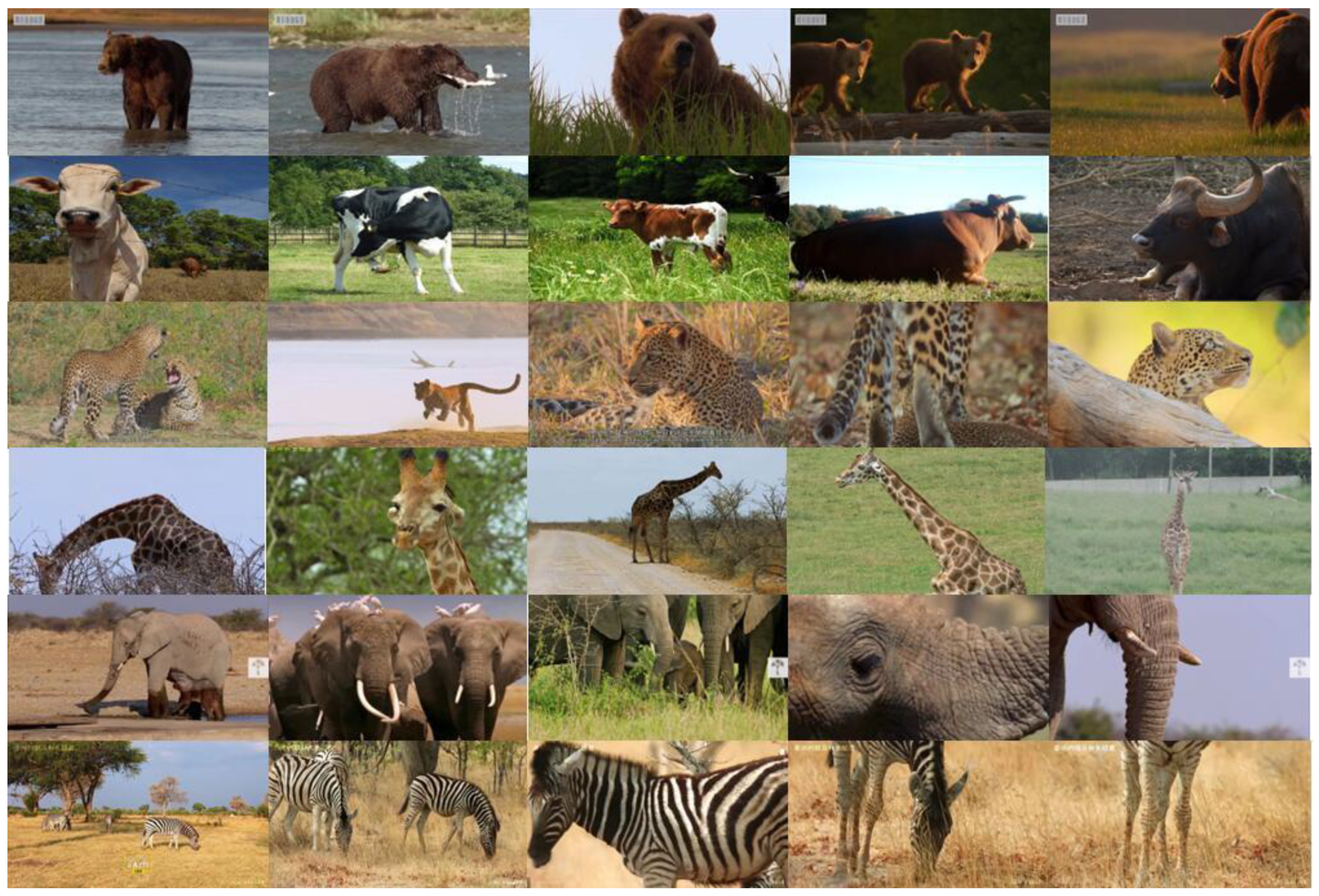 Electronics 12 04506 g001