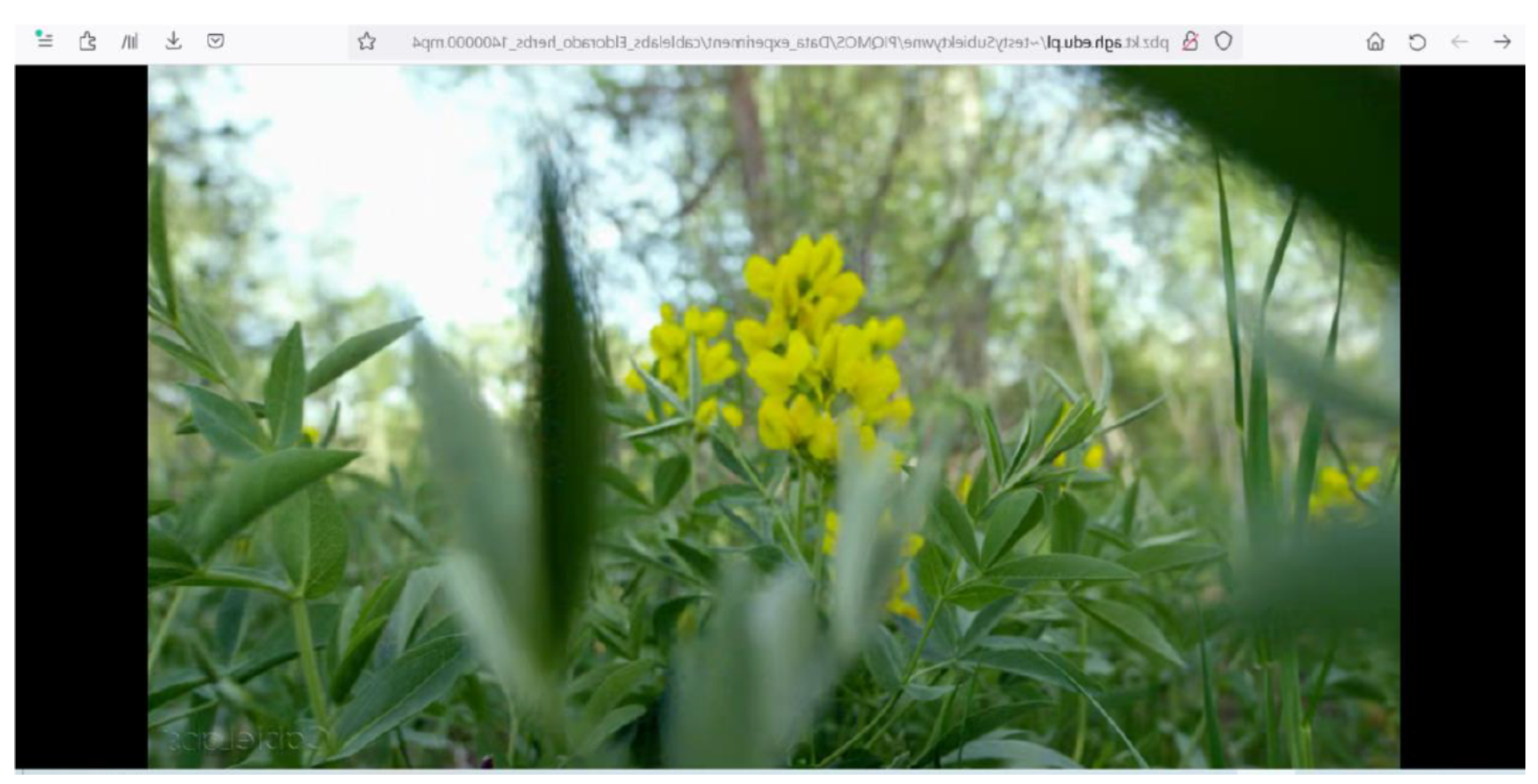 Electronics 12 04593 g003