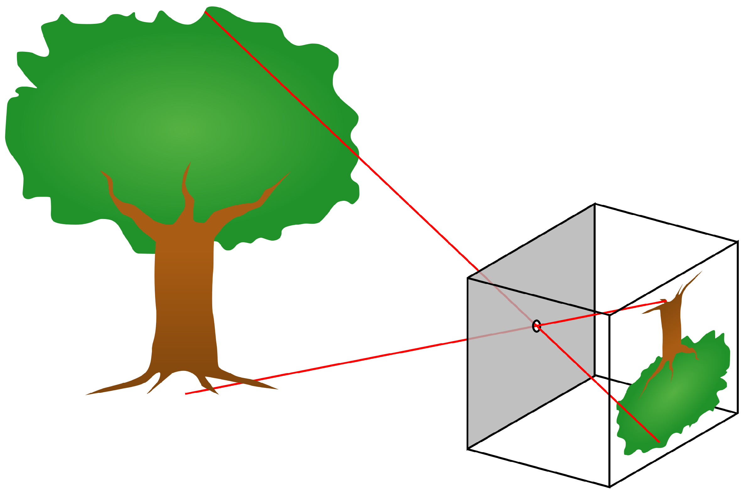 Electronics 12 04721 g005