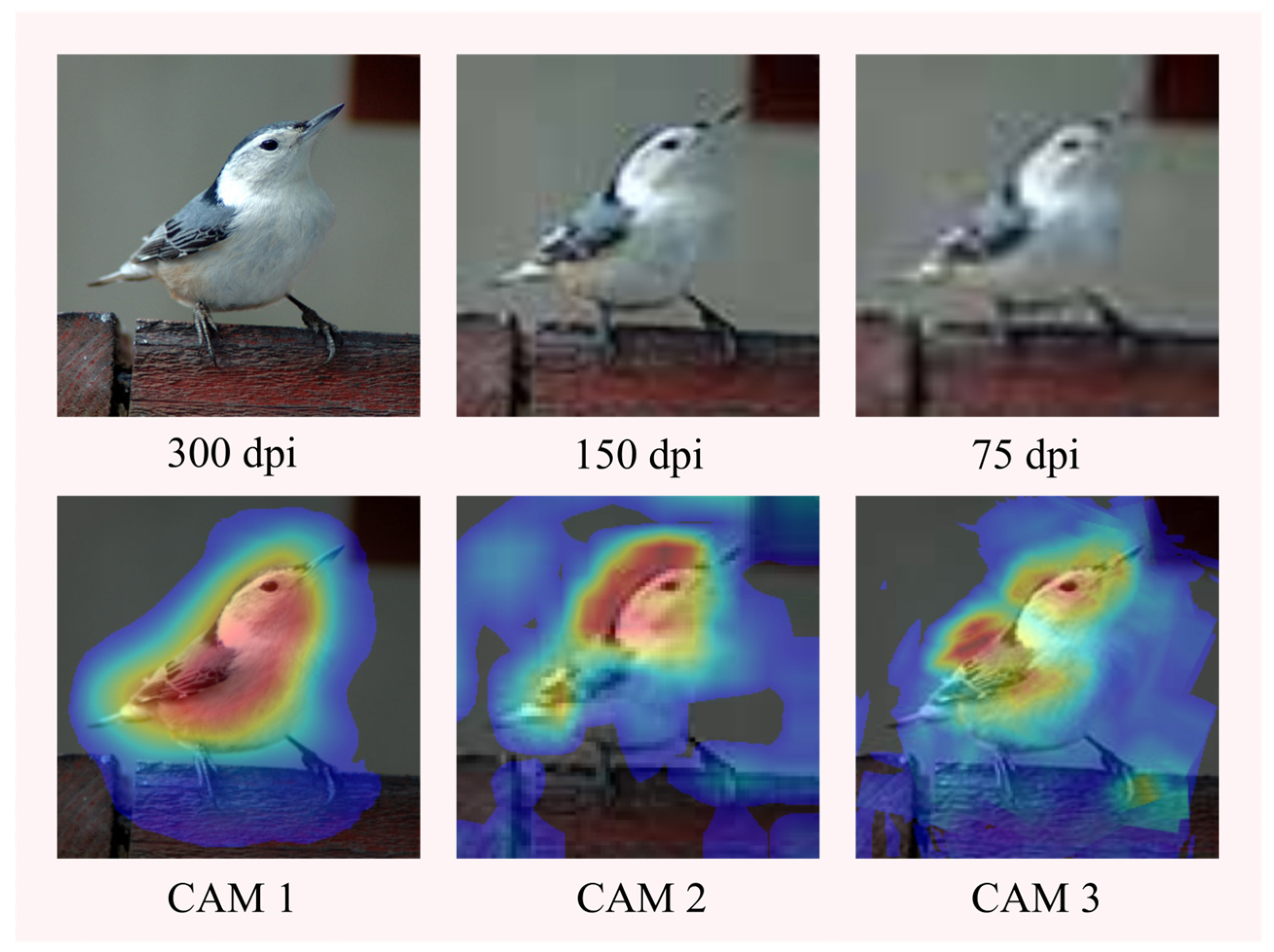 Electronics 12 04846 g011
