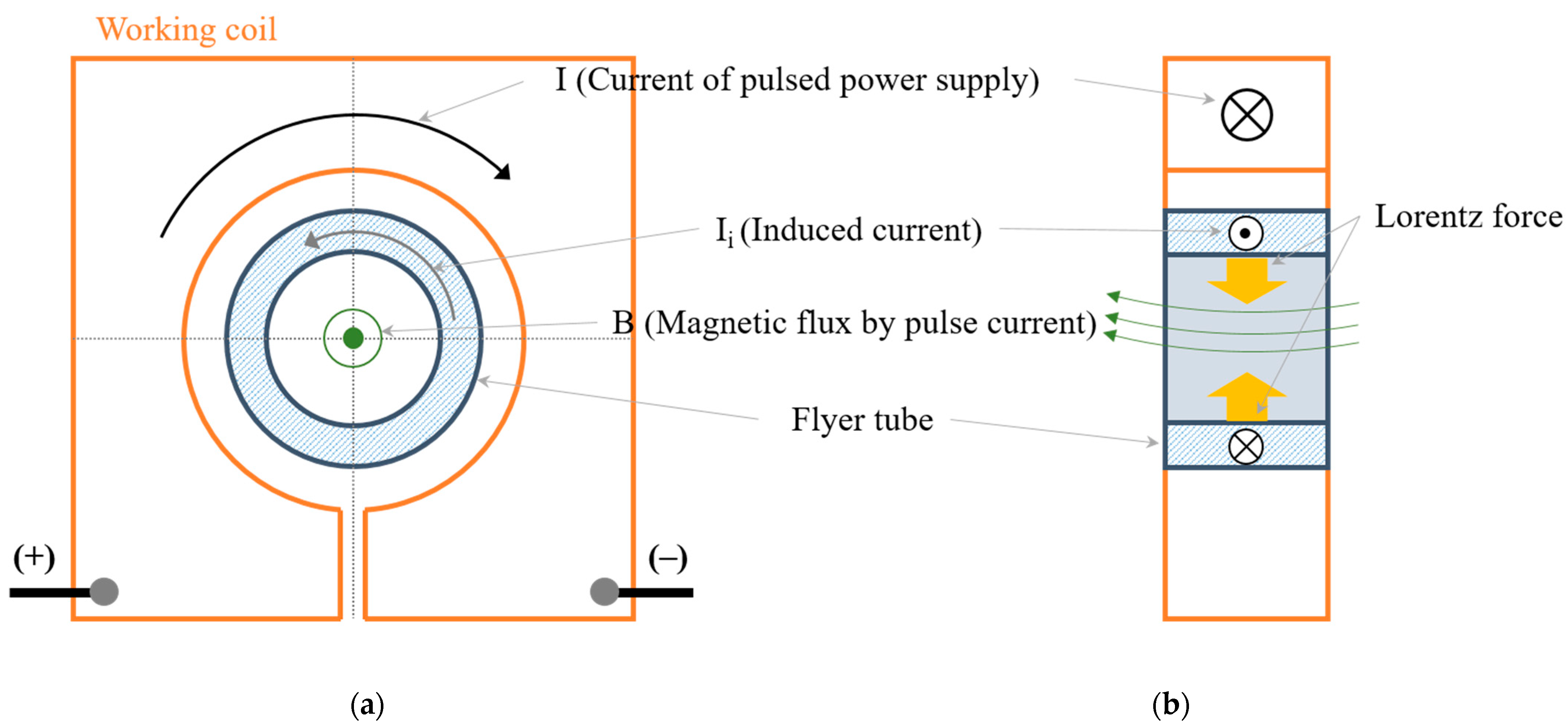 Electronics 12 04921 g001