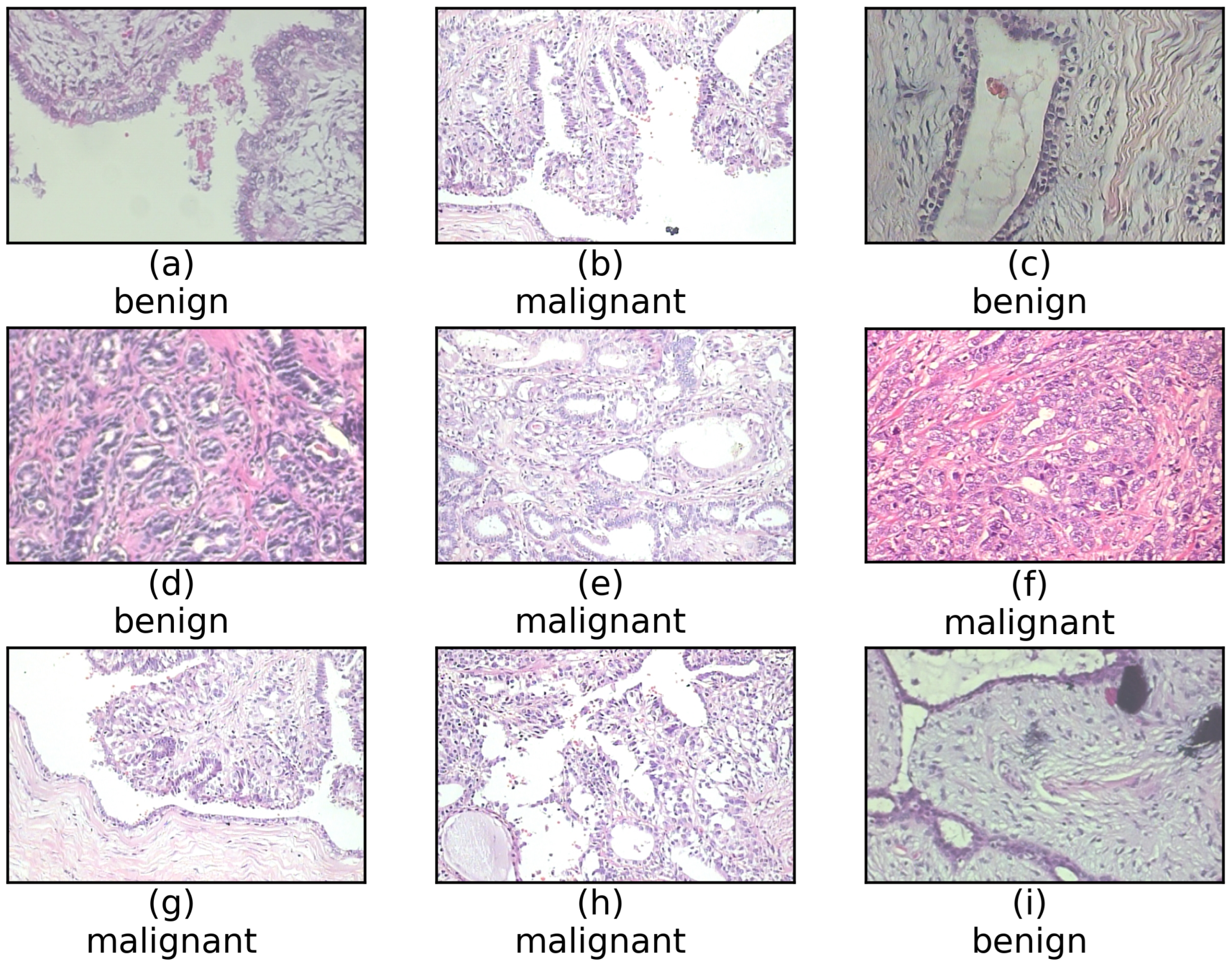 Electronics 12 04923 g001