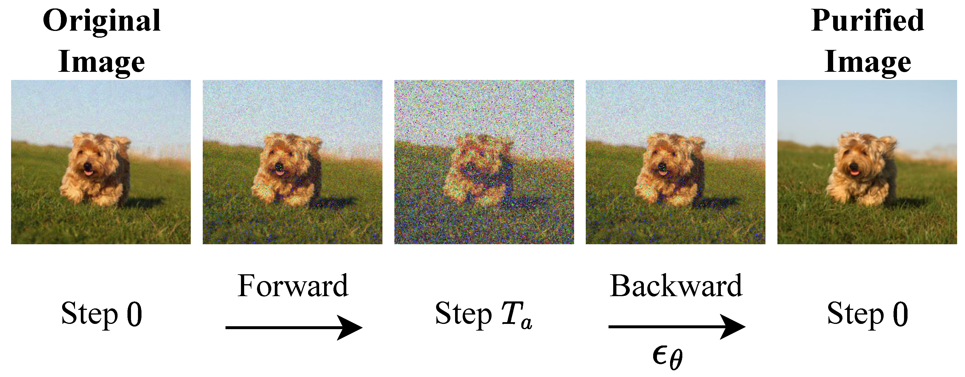 Electronics 12 04962 g004