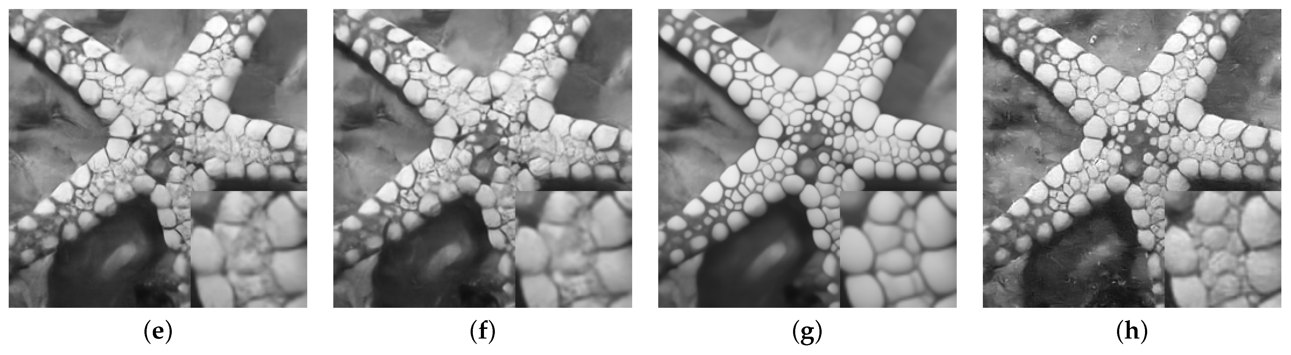 Electronics 12 05019 g003b