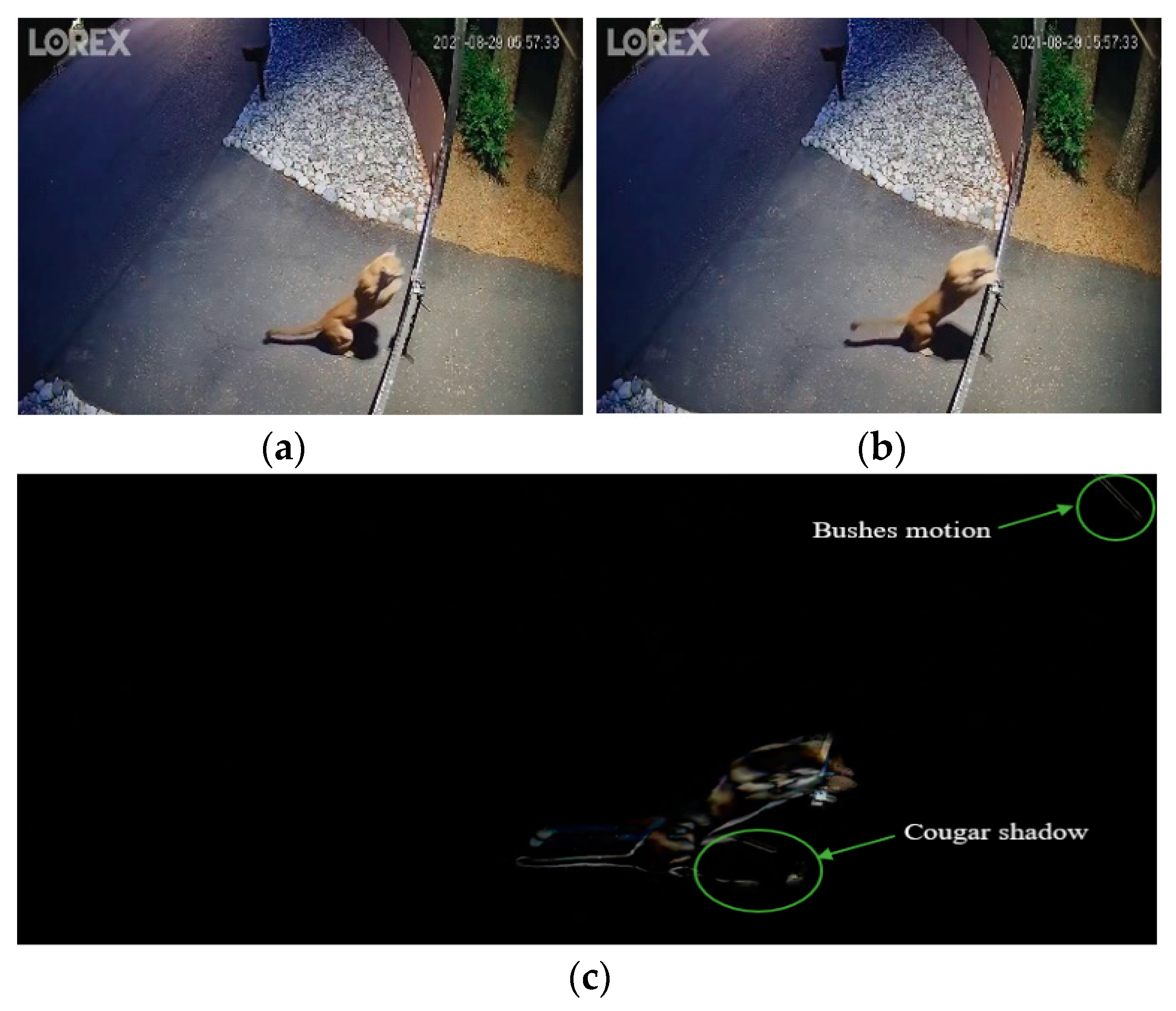 Electronics 12 05044 g004