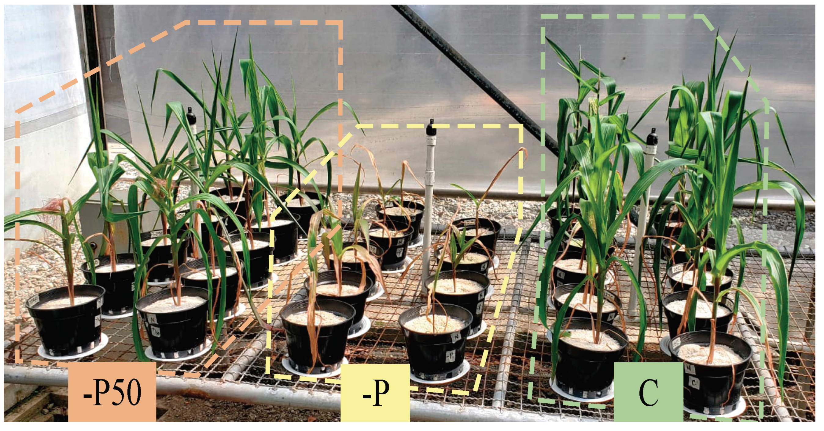 Electronics 13 00016 g002