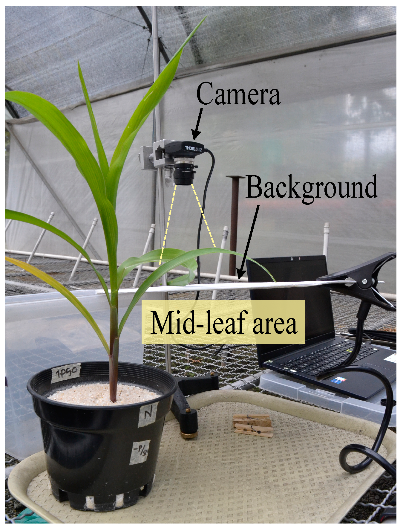 Electronics 13 00016 g003