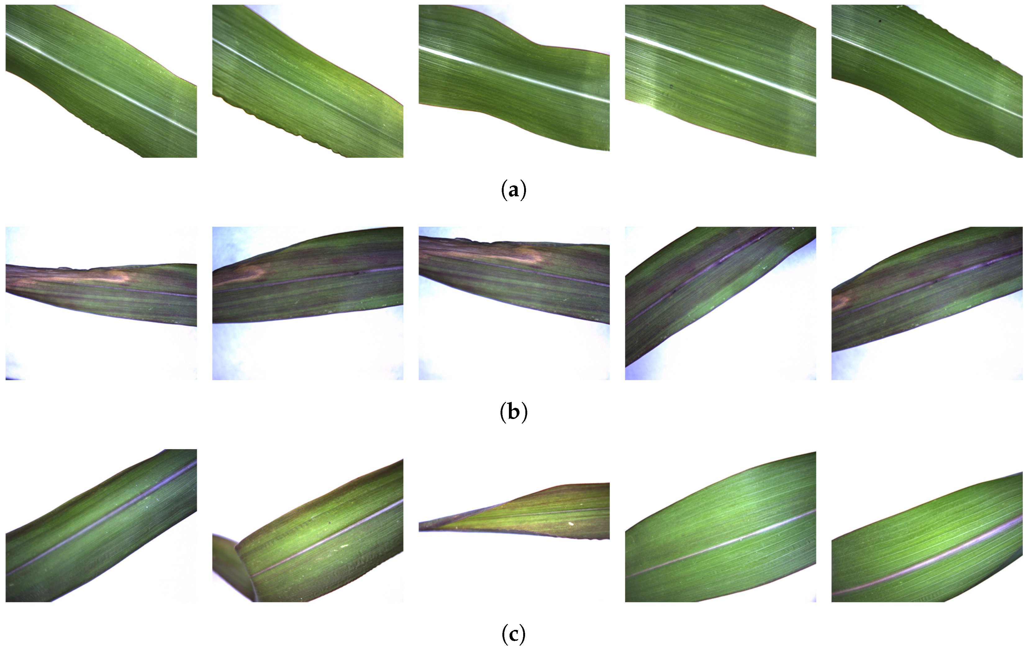 Electronics 13 00016 g004