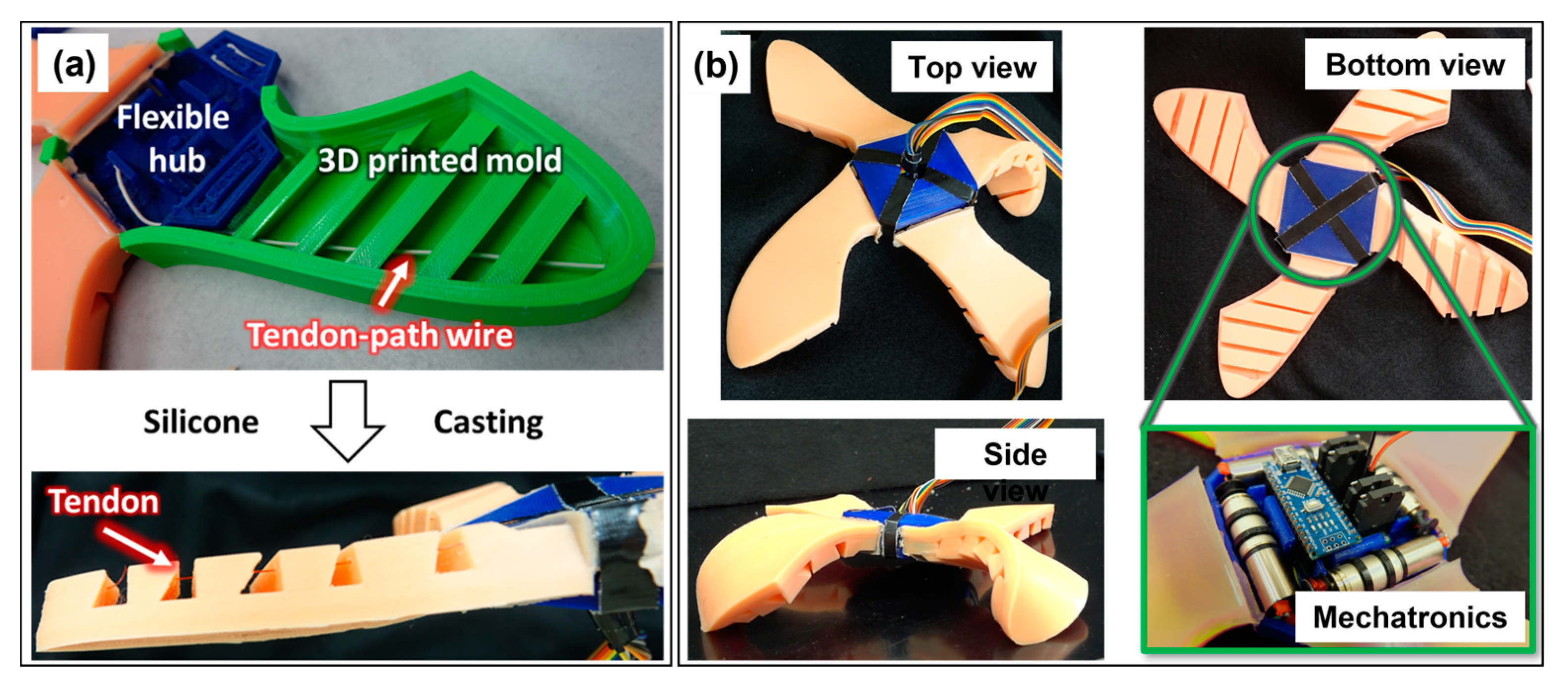 Electronics 13 00078 g002