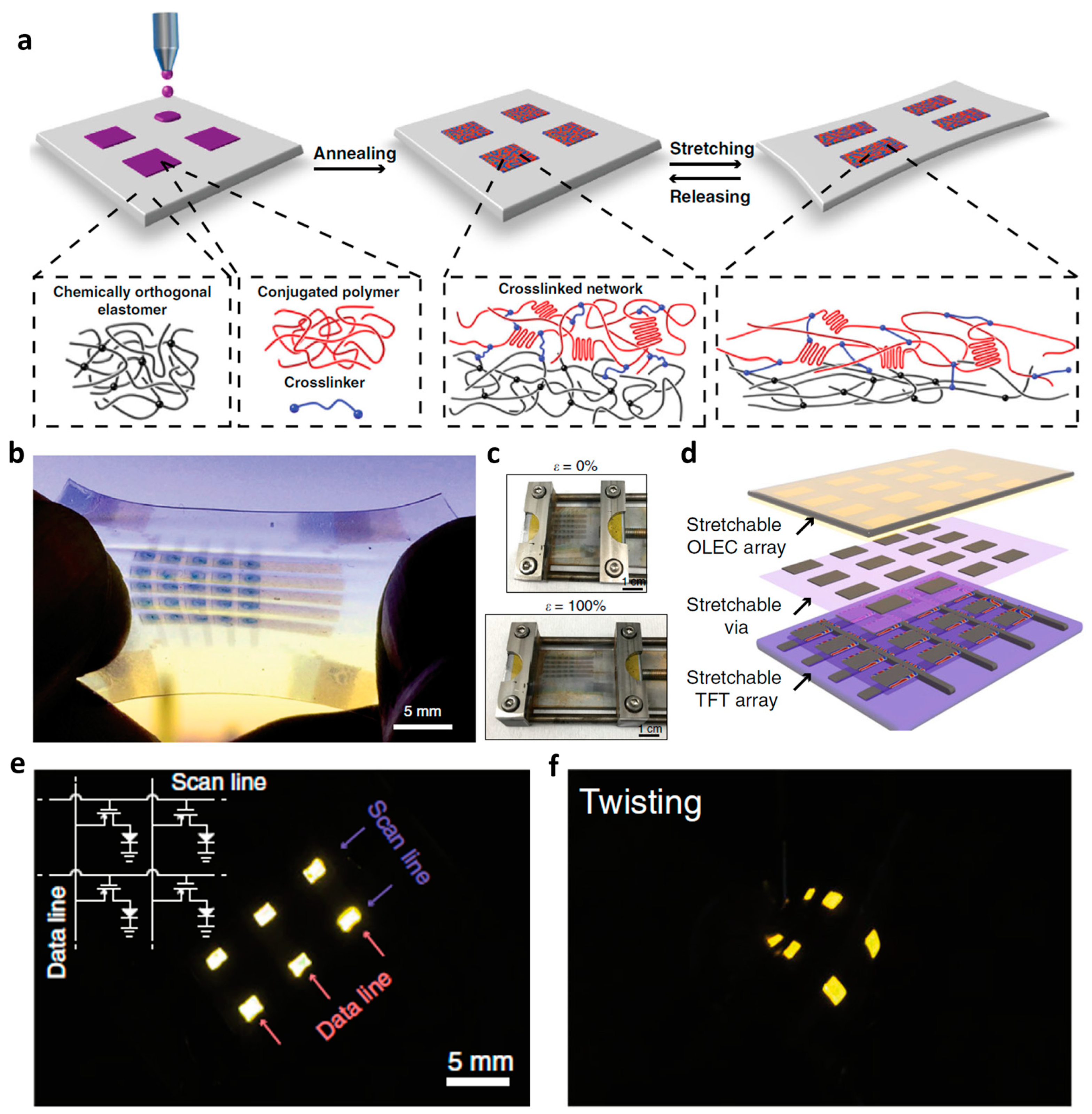 Electronics 13 00241 g003