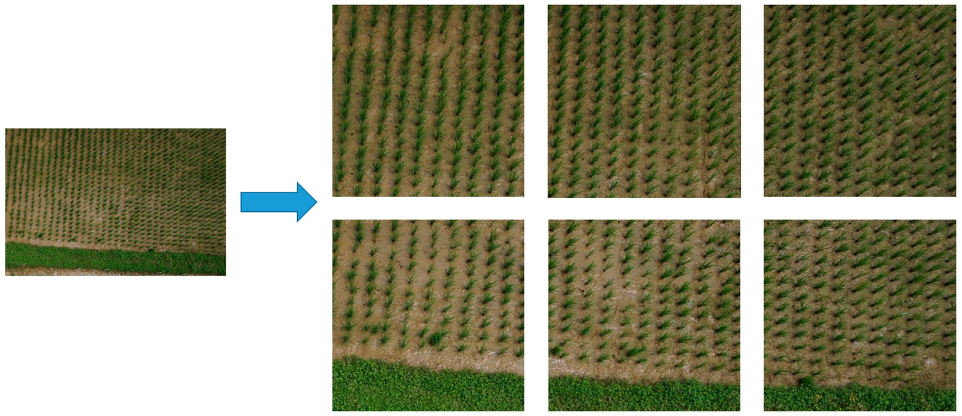 Electronics 13 00273 g006