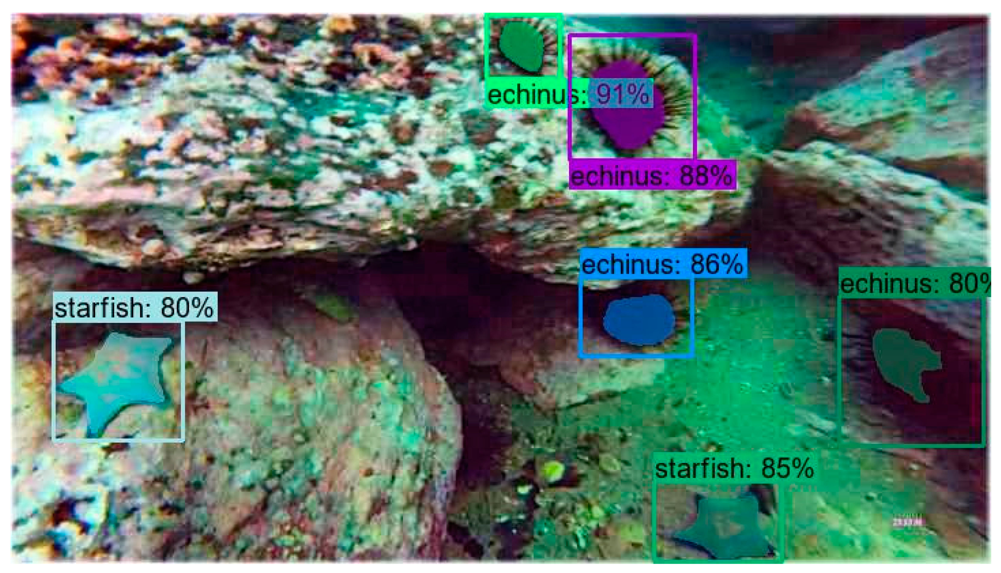 Electronics 13 00274 g011