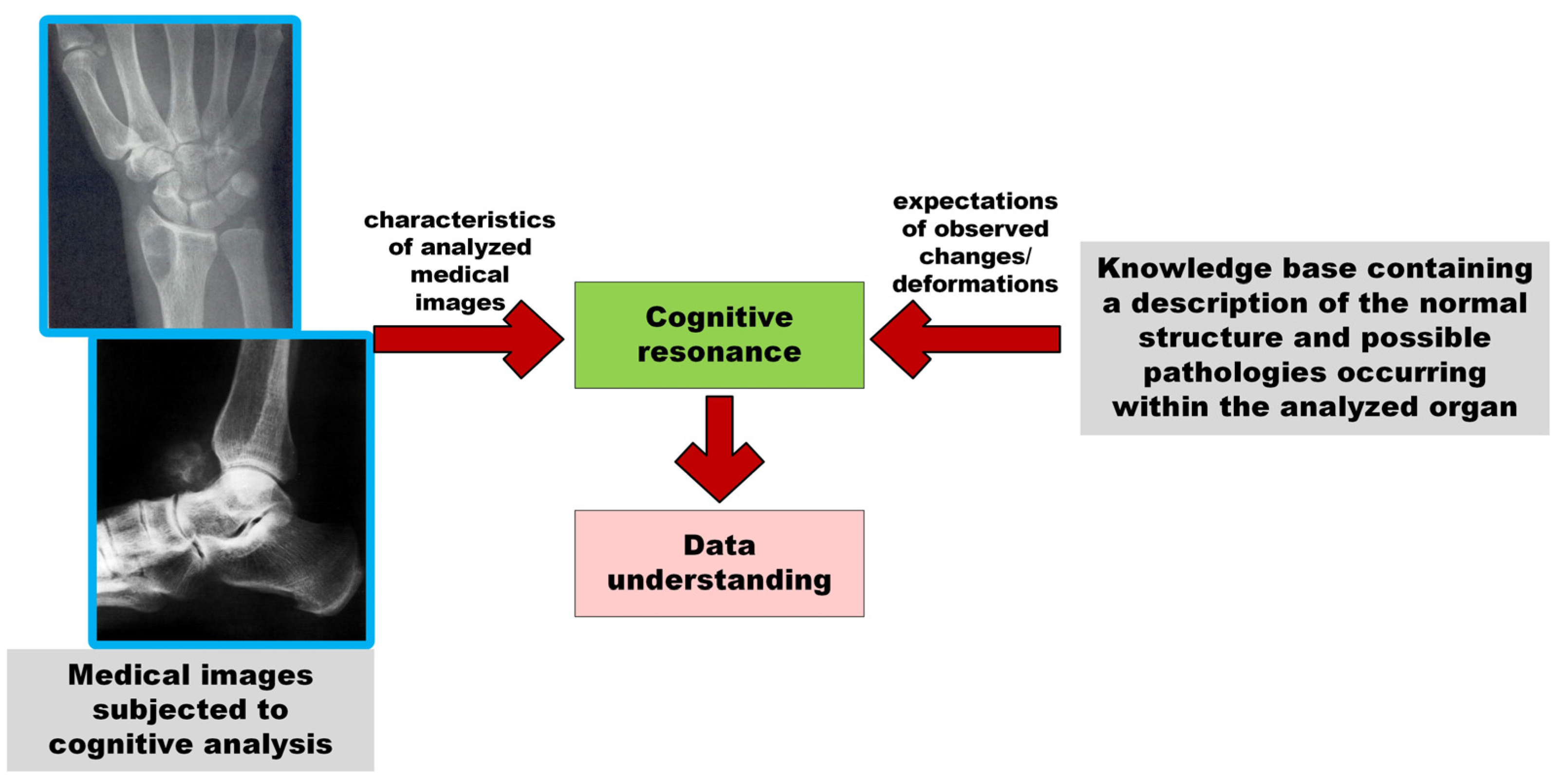 Electronics 13 00325 g002