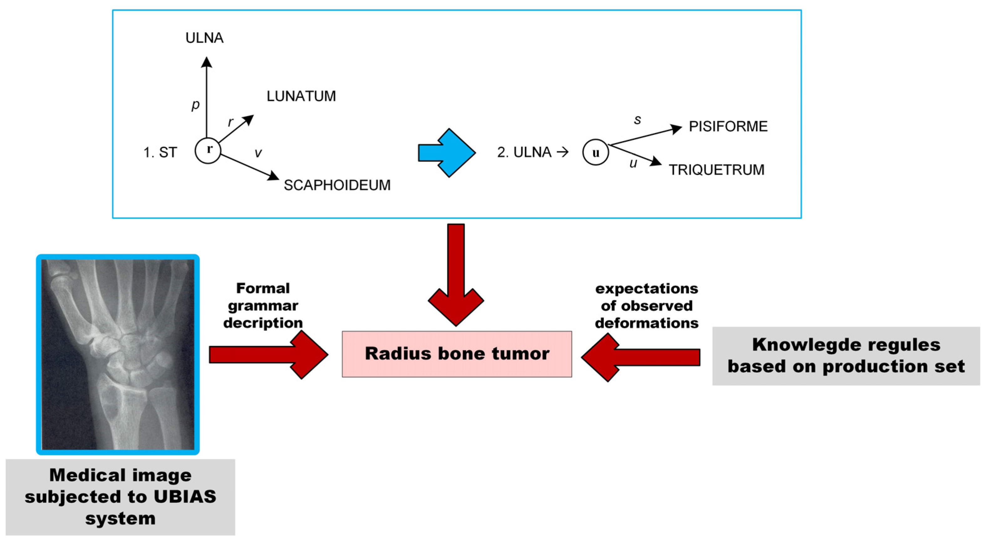 Electronics 13 00325 g003