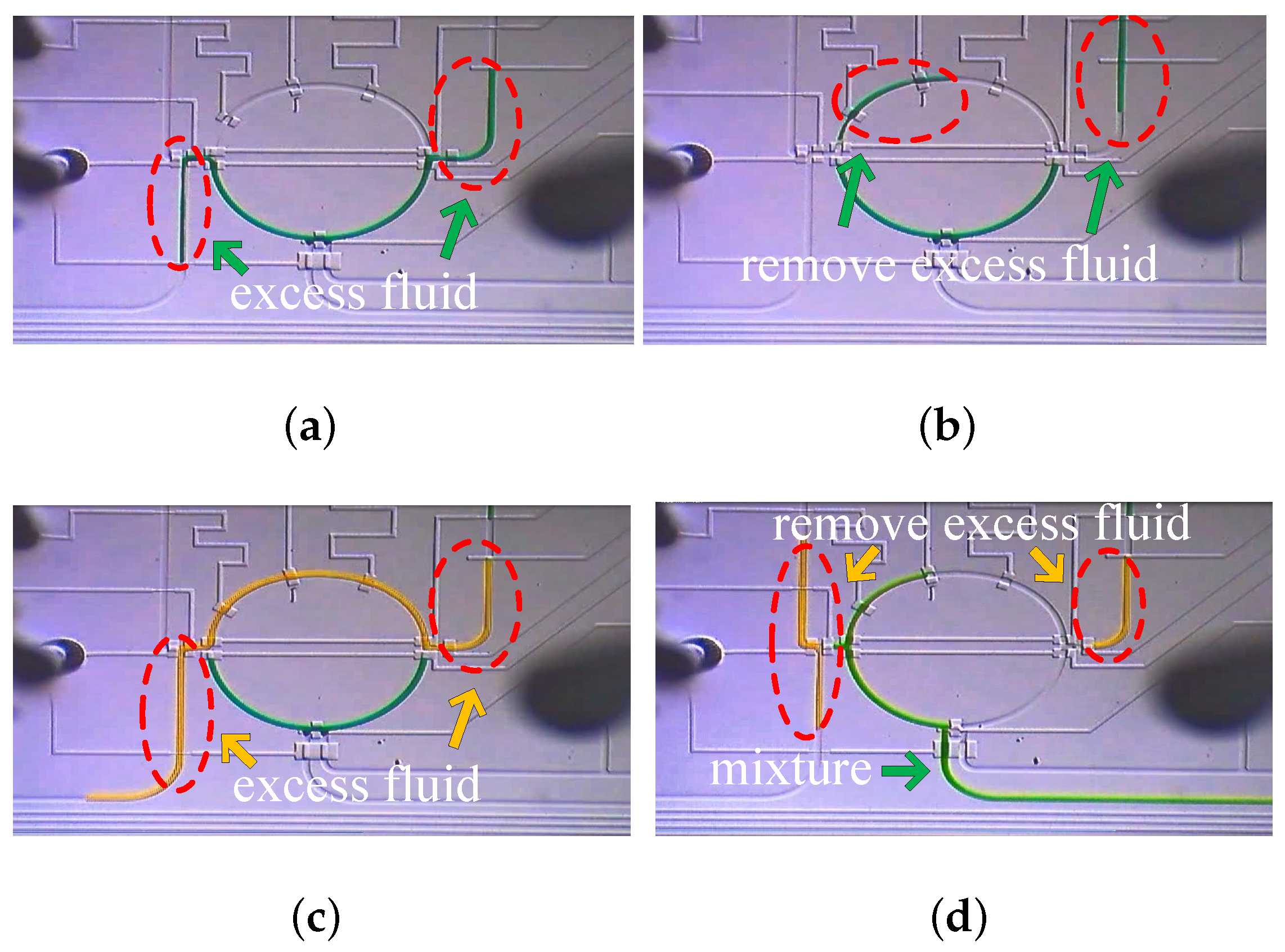 Electronics 13 00332 g003