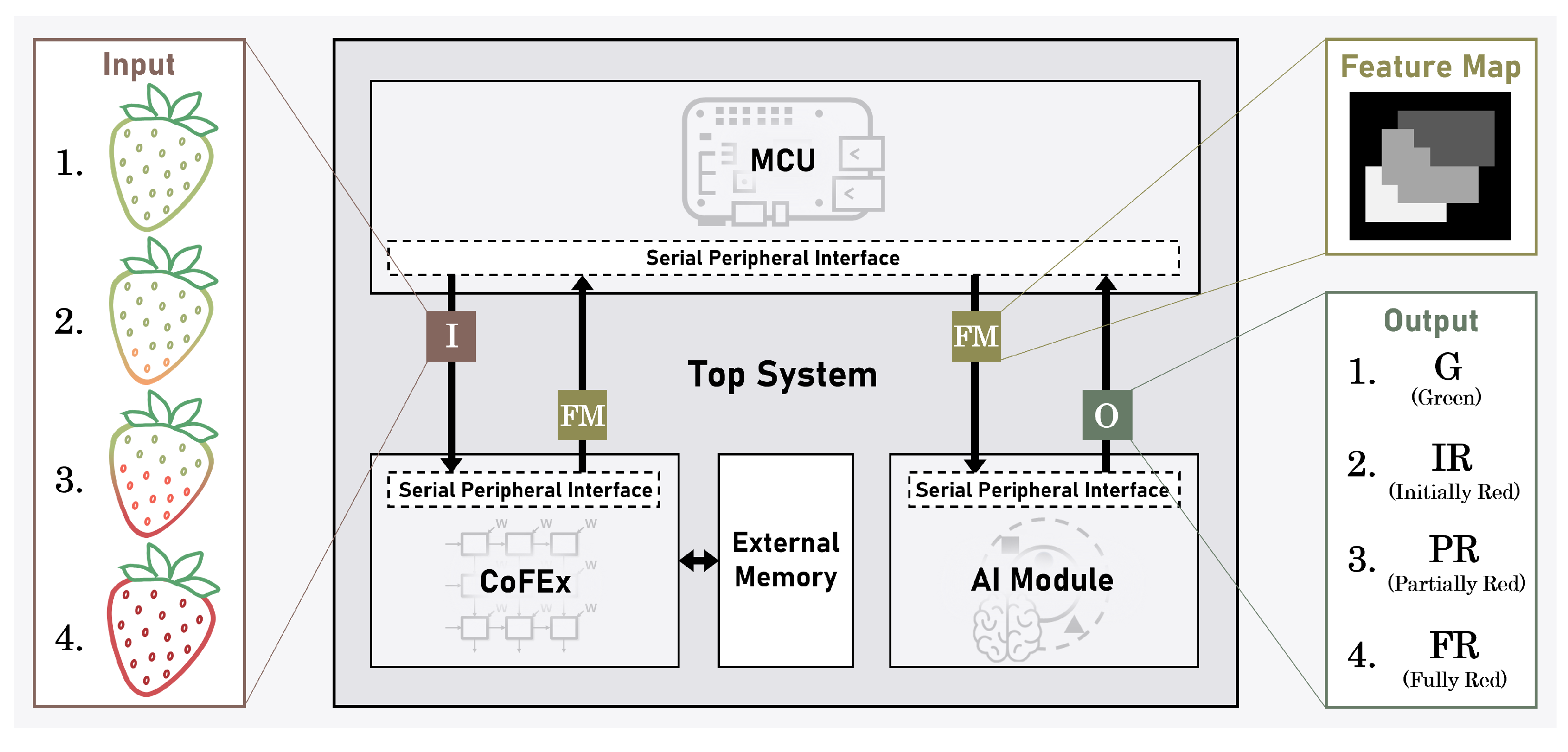 Electronics 13 00344 g001