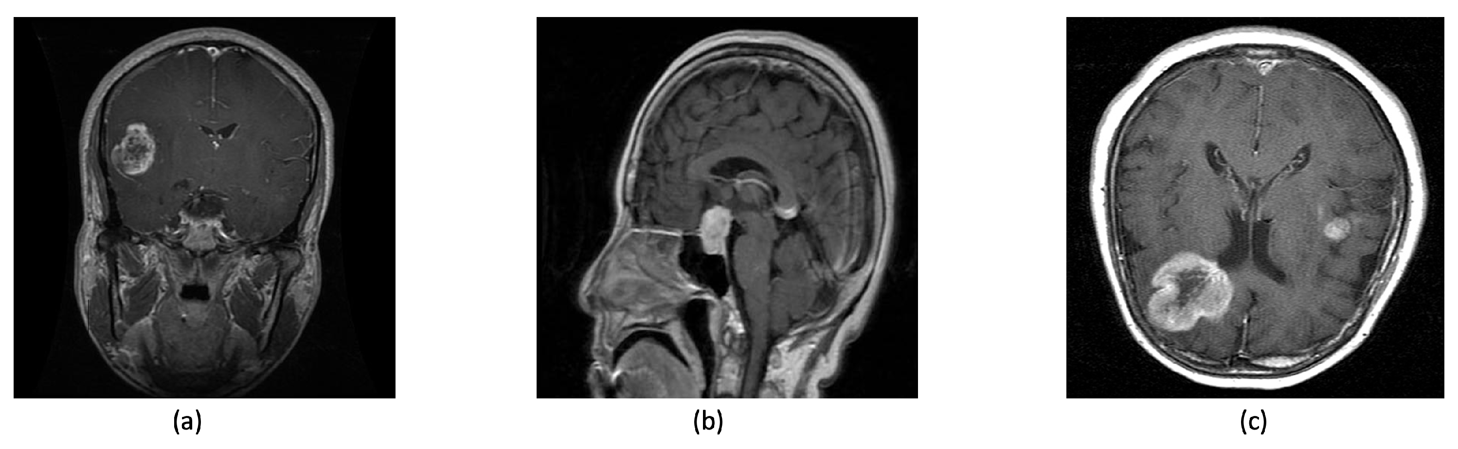 Electronics 13 00364 g001