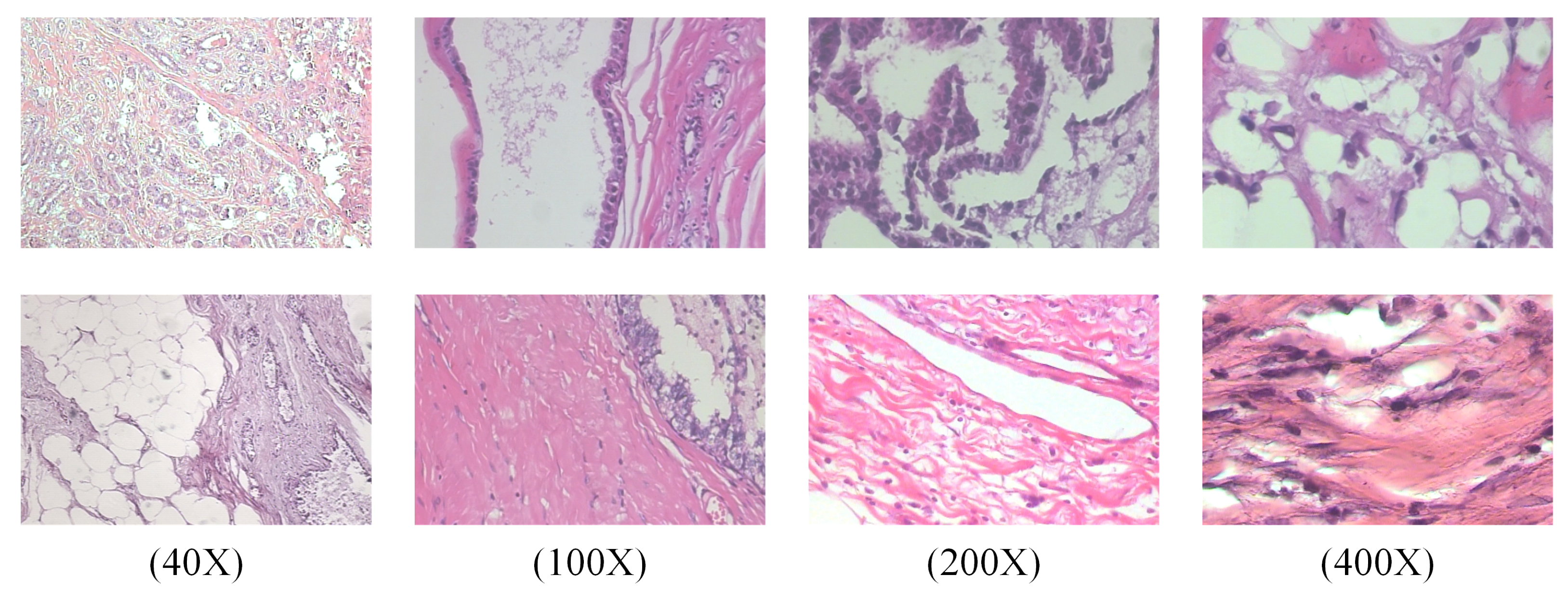 Electronics 13 00459 g004