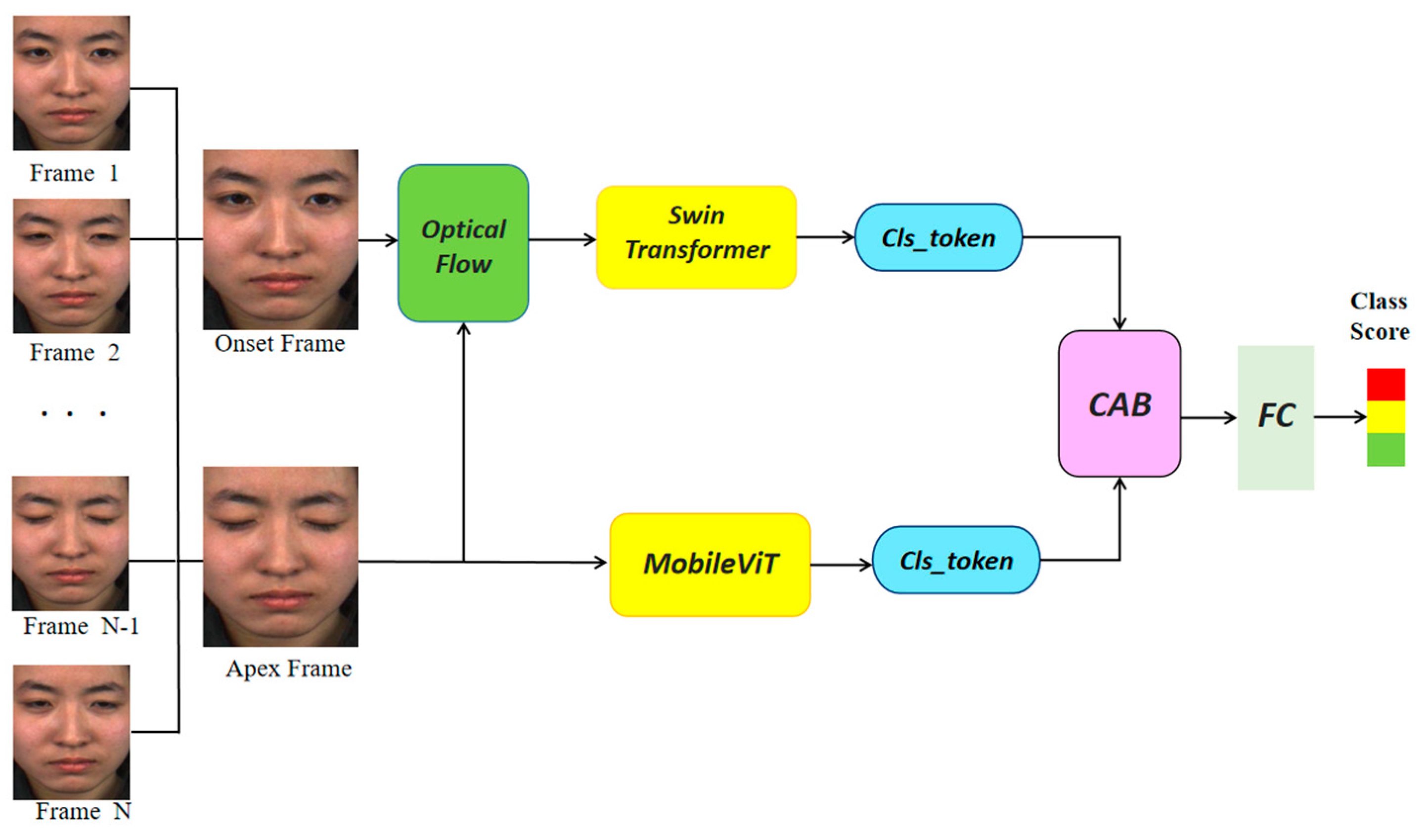 Electronics 13 00461 g001