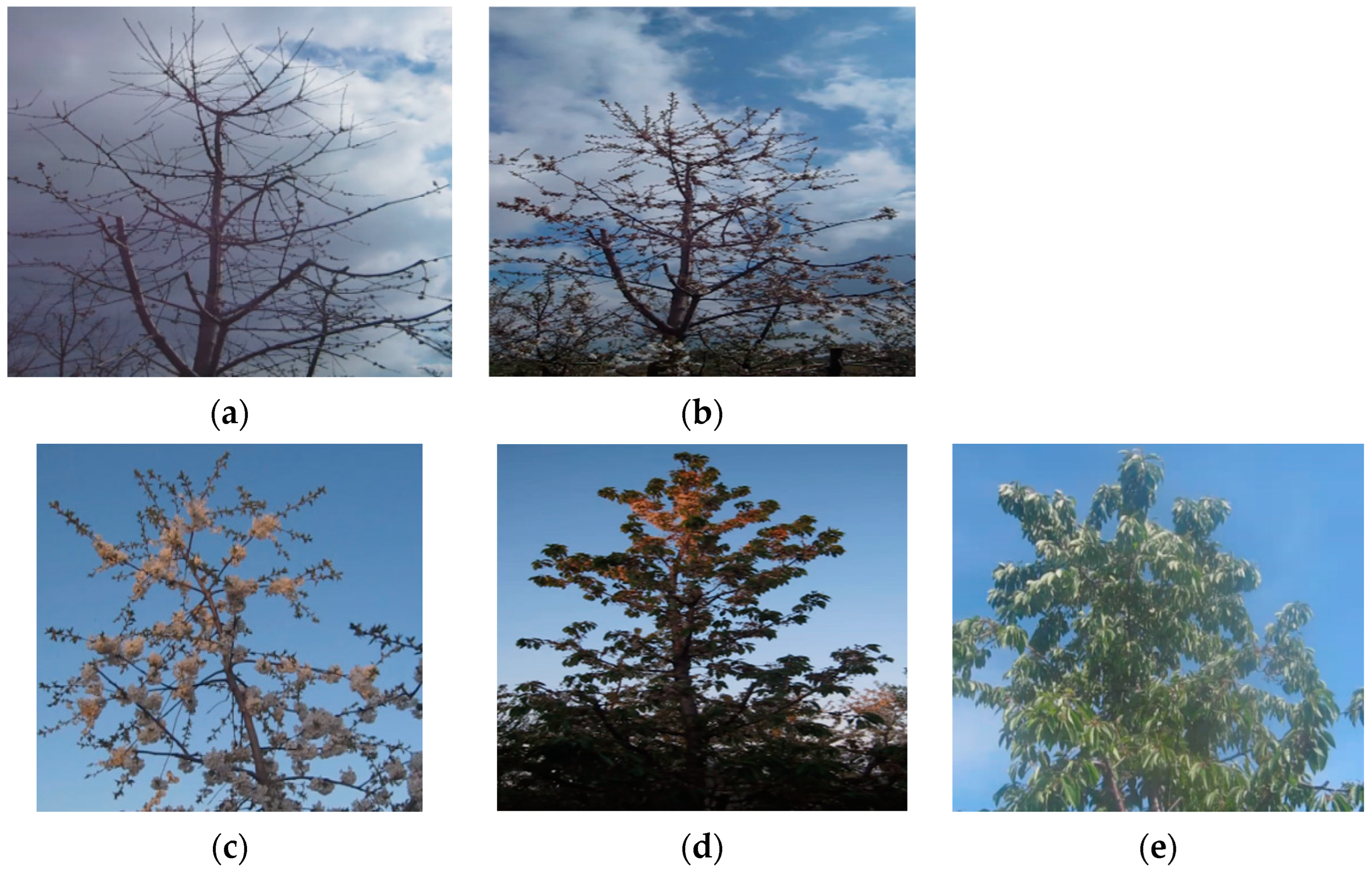 Electronics 13 00494 g011