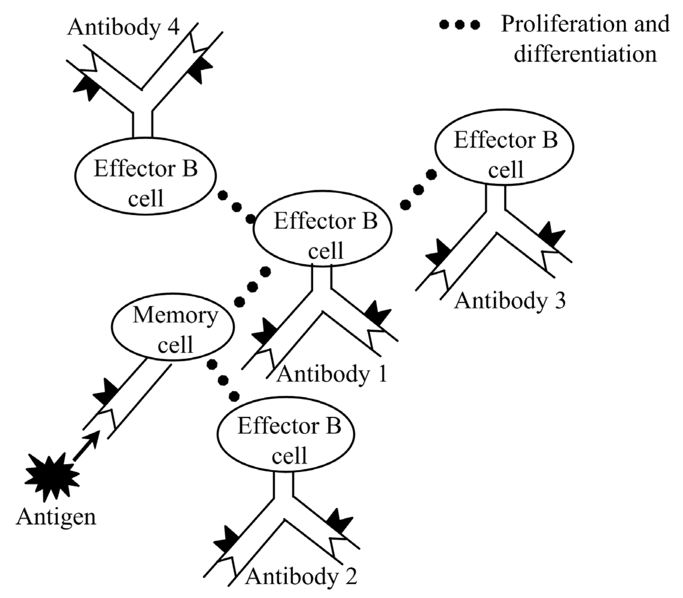 Electronics 13 00562 g003