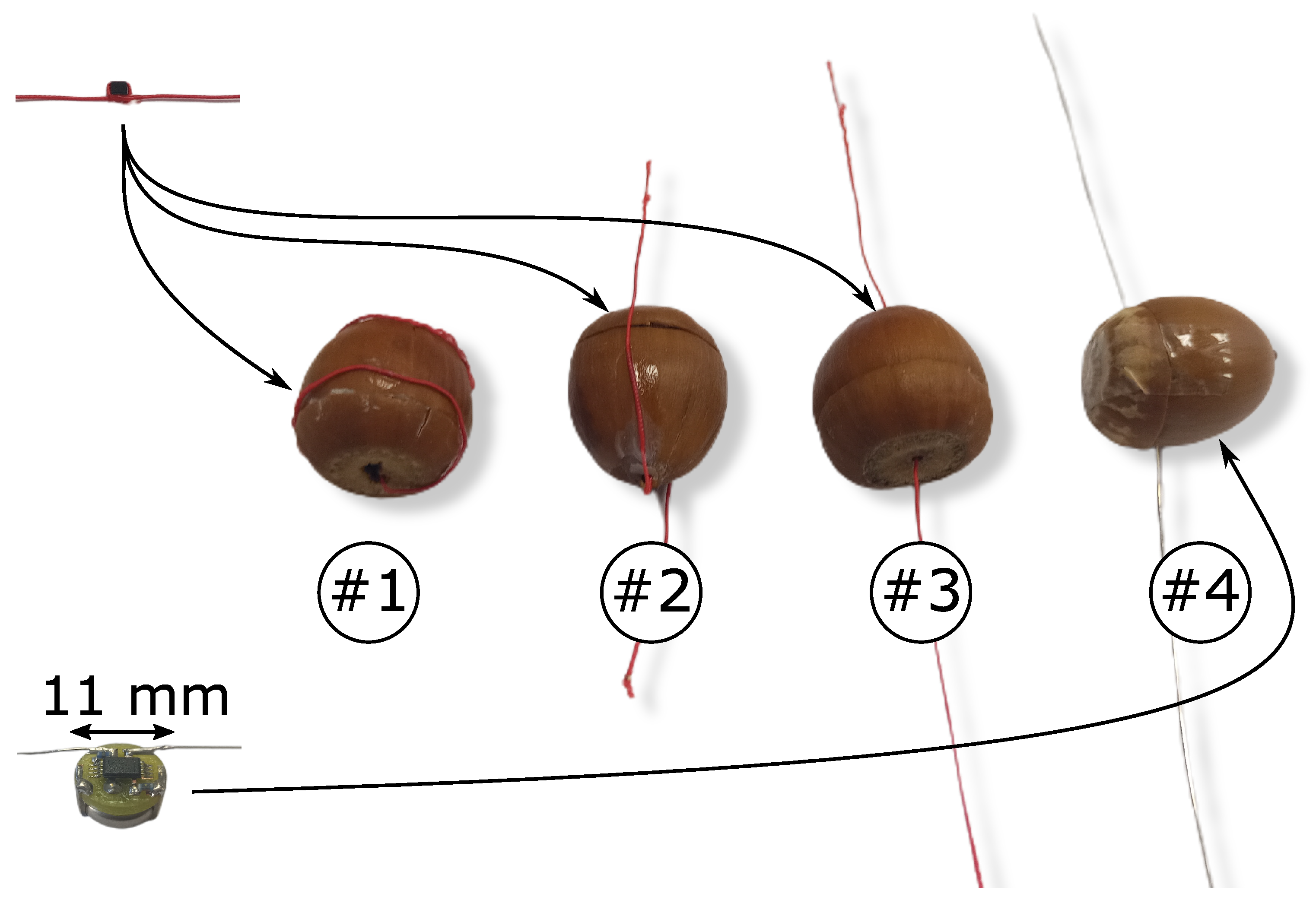 Electronics 13 00567 g001