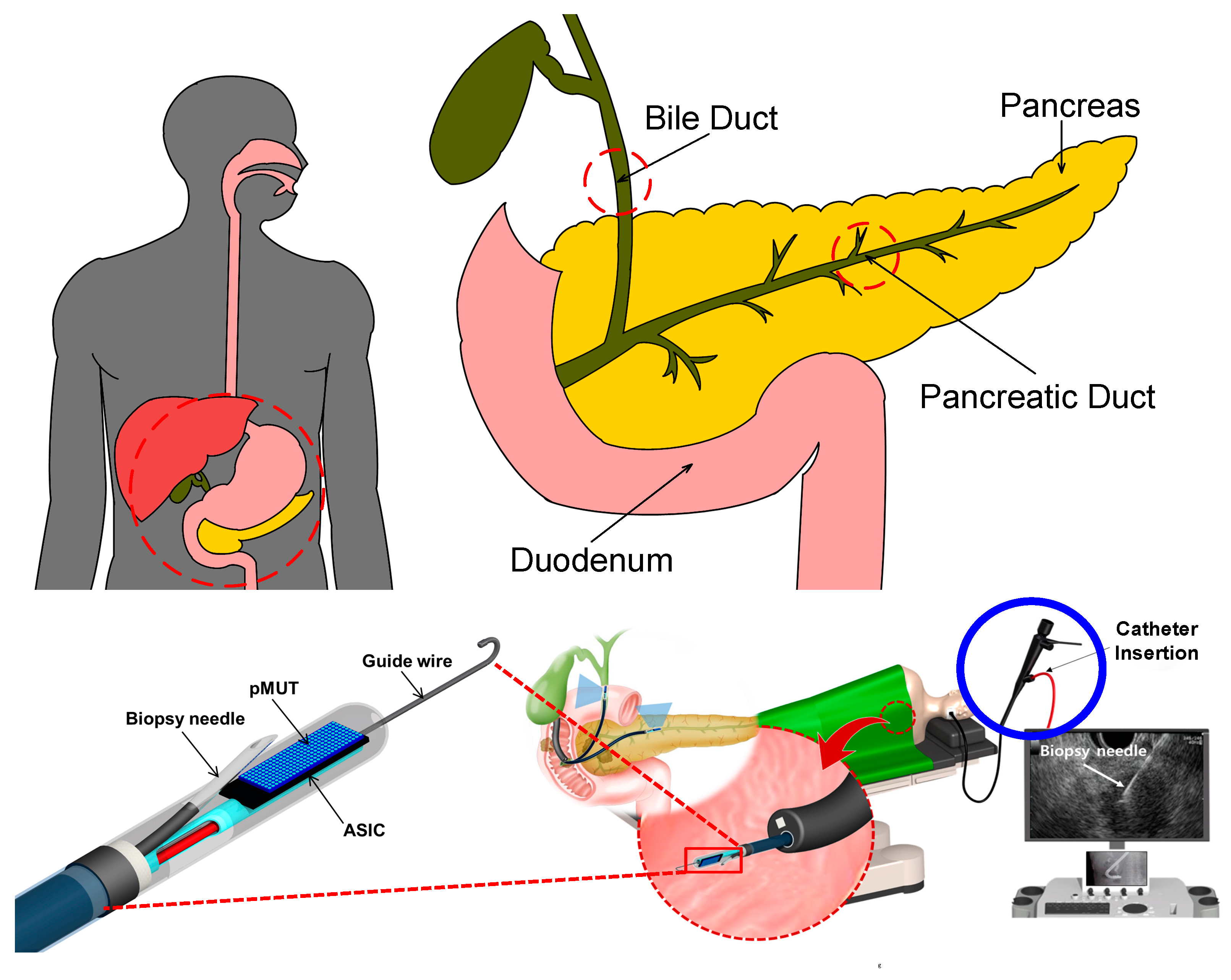 Electronics 13 00568 g001