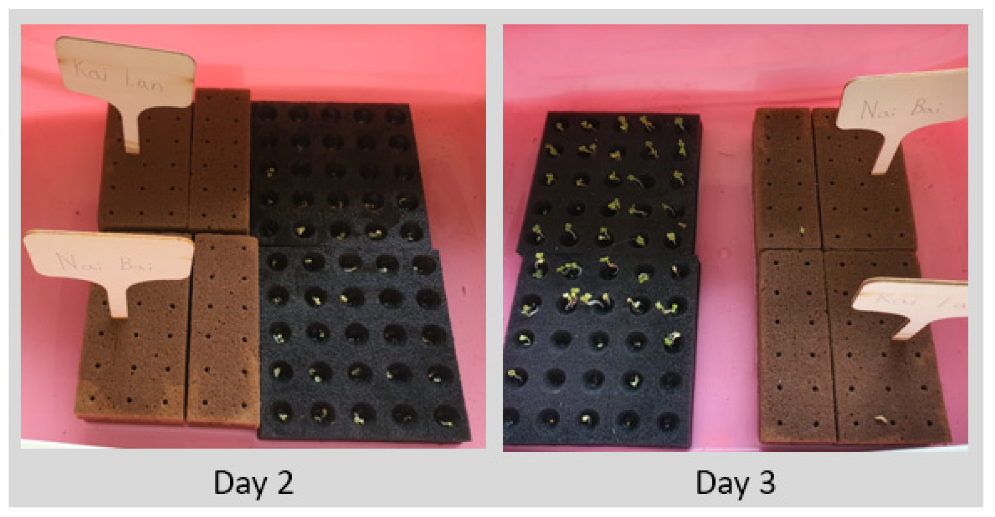 Electronics 13 00676 g022