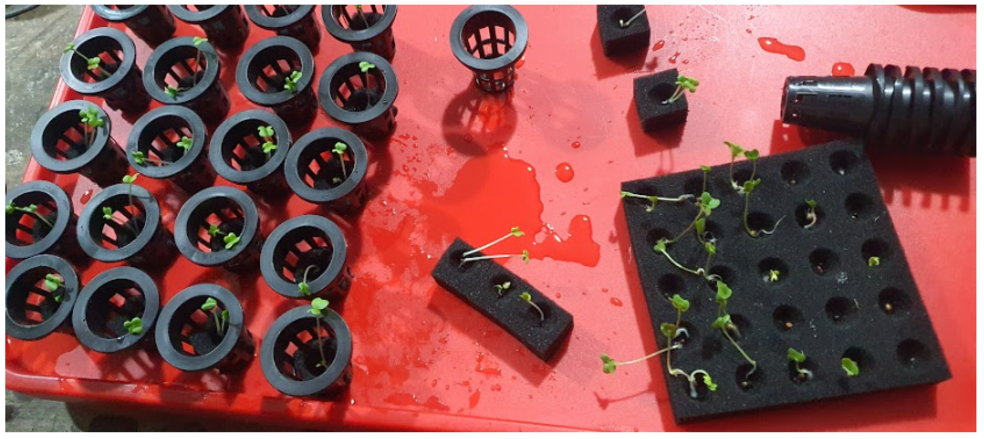 Electronics 13 00676 g023