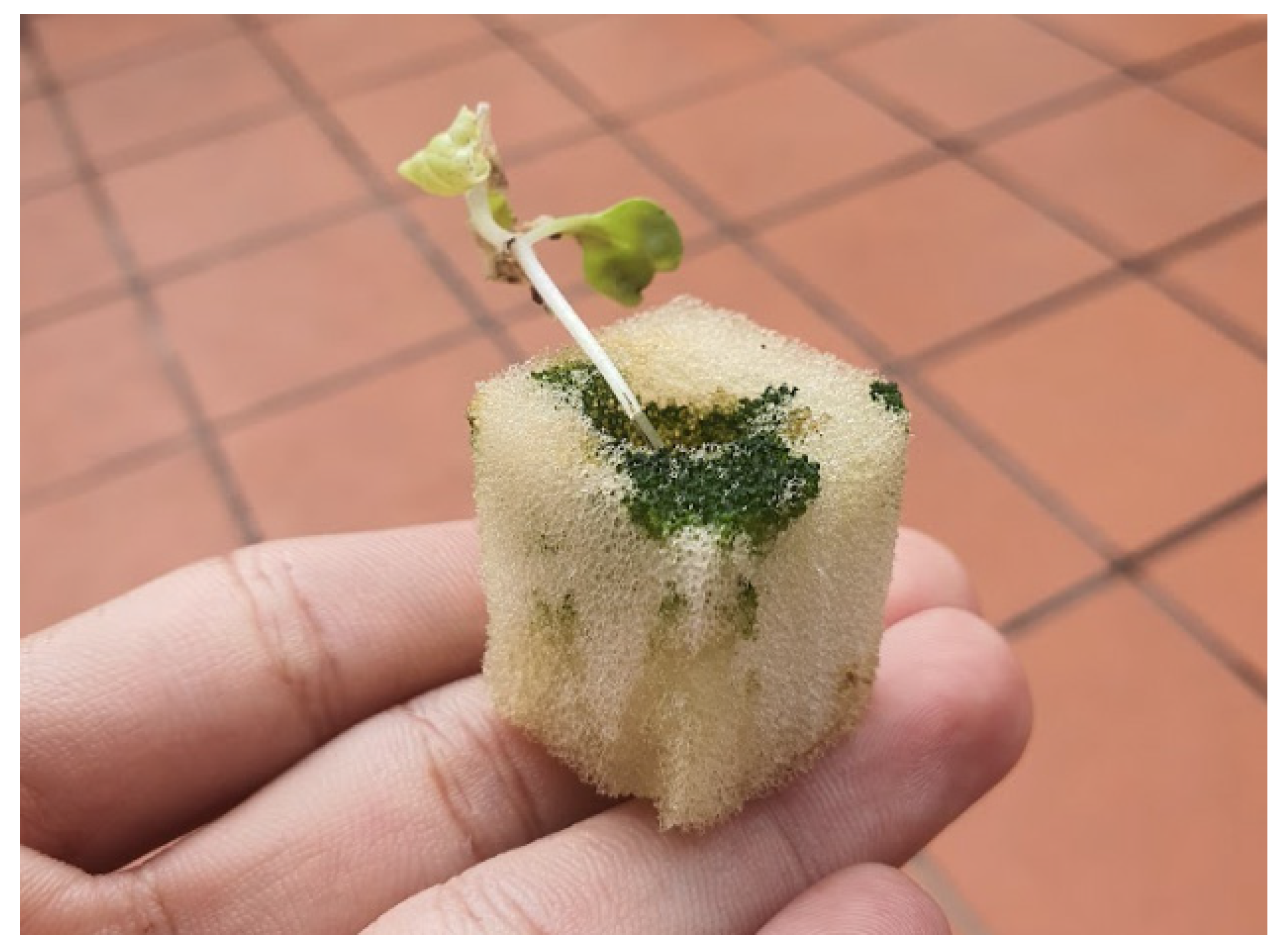 Electronics 13 00676 g028